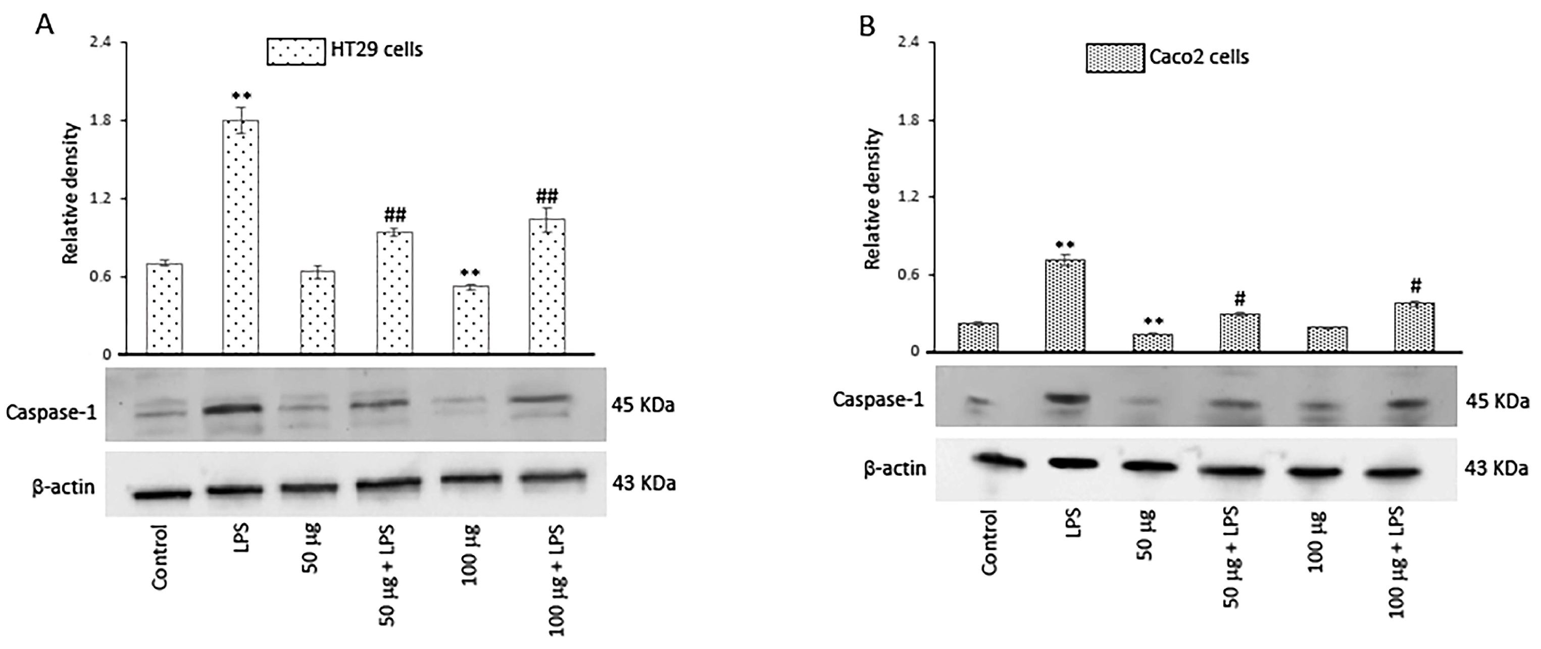 Antioxidants 14 00356 g006