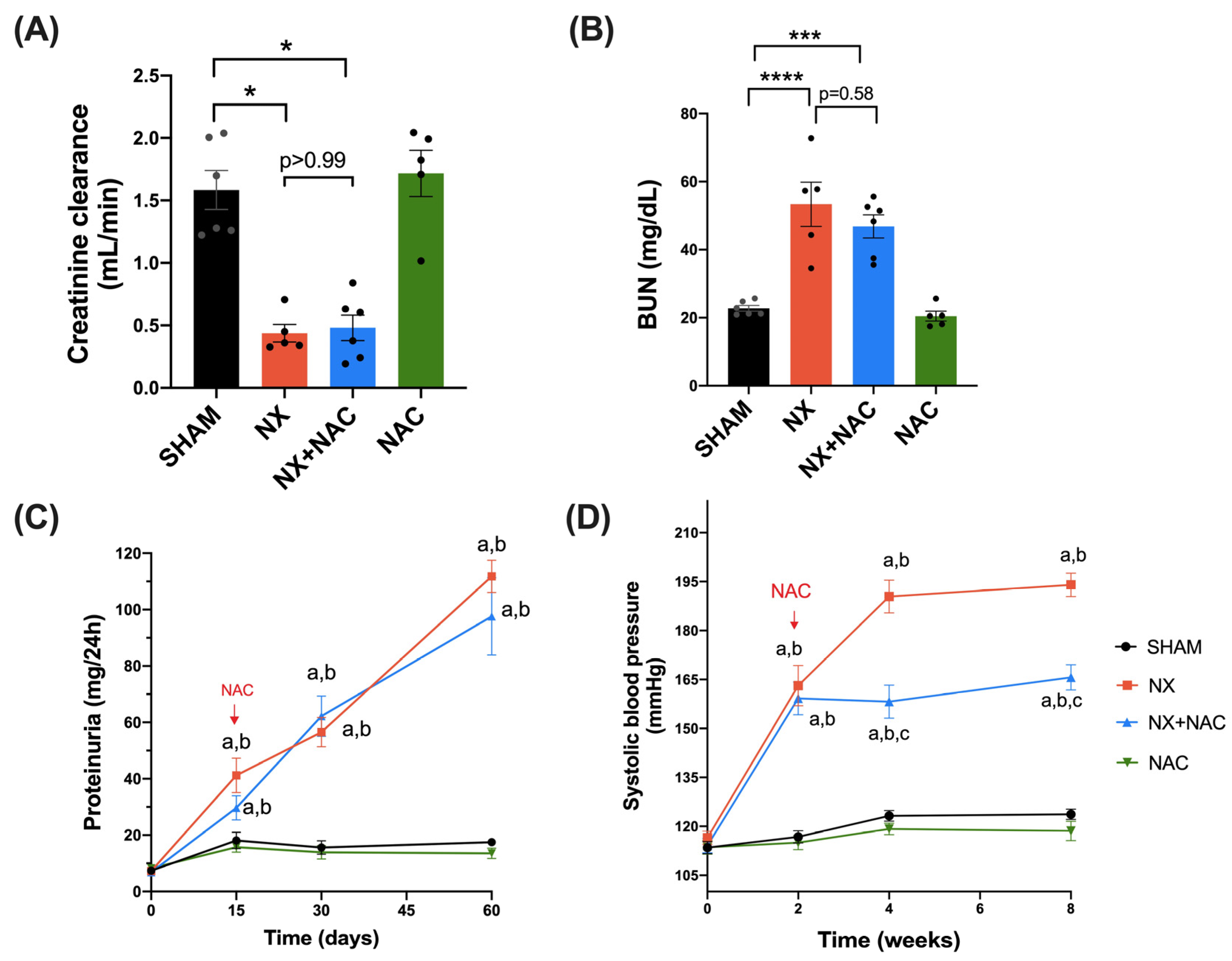 Antioxidants 14 00367 g002