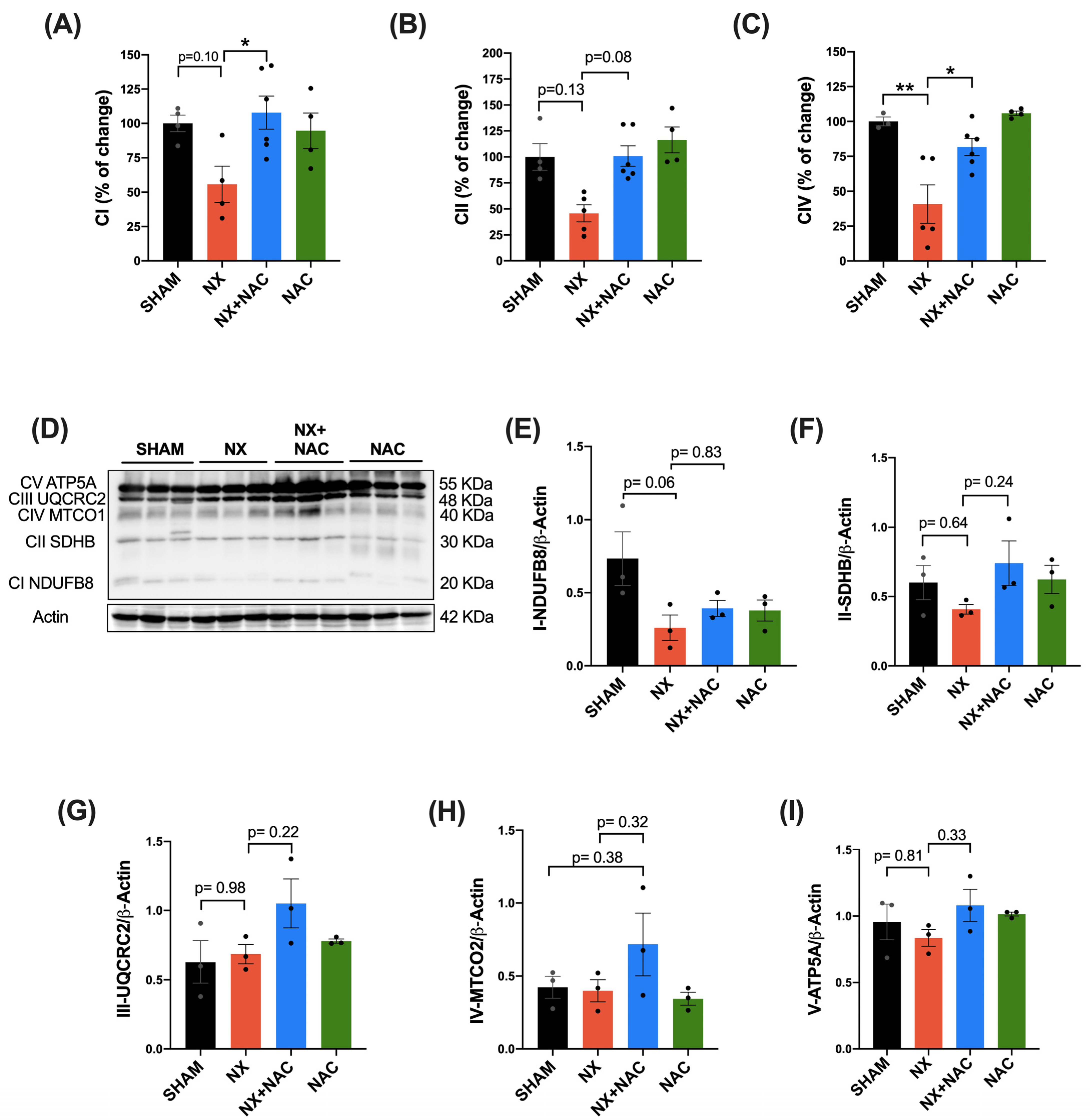 Antioxidants 14 00367 g006