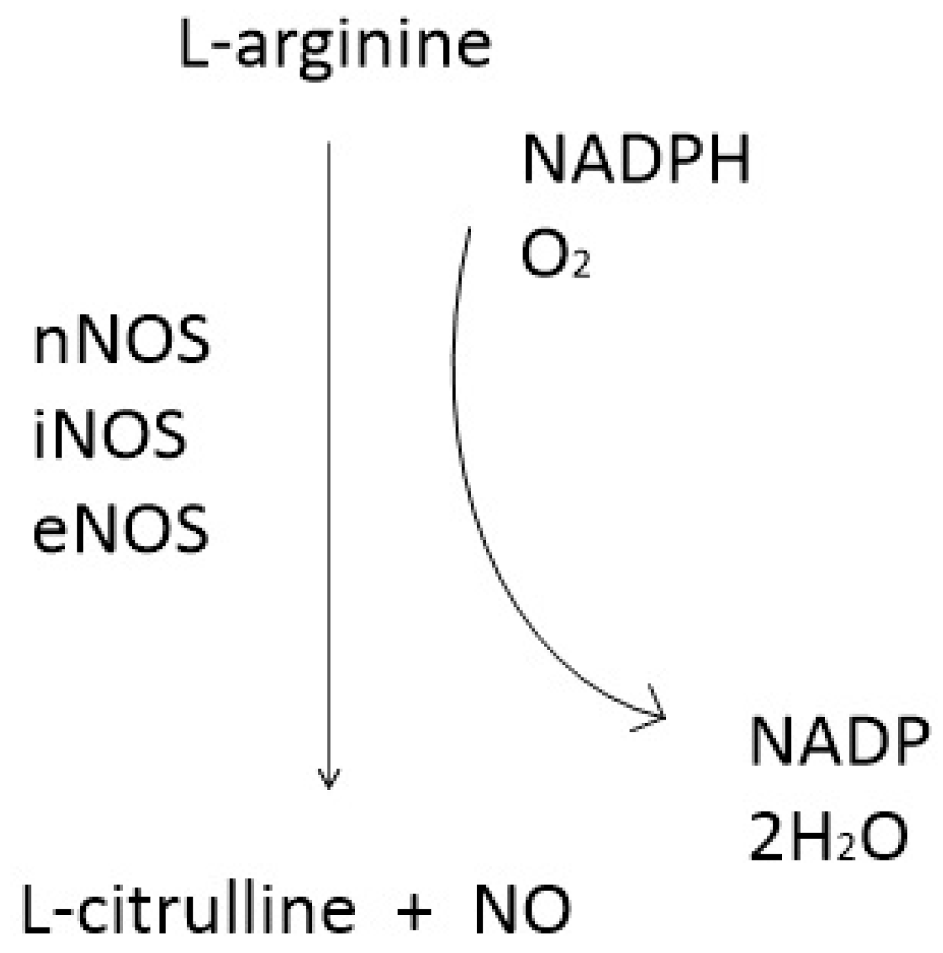 Antioxidants 14 00369 g001