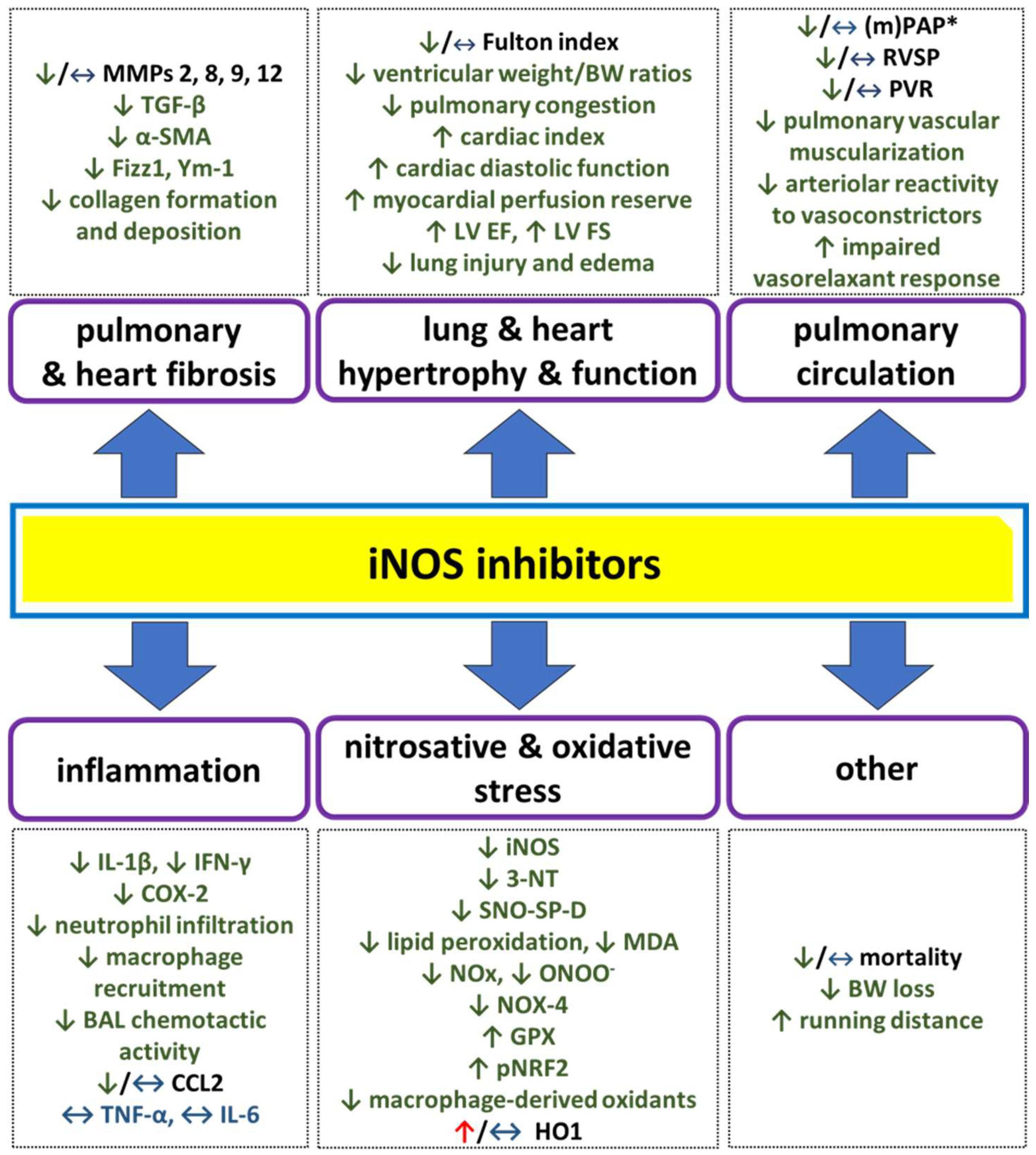 Antioxidants 14 00377 g002