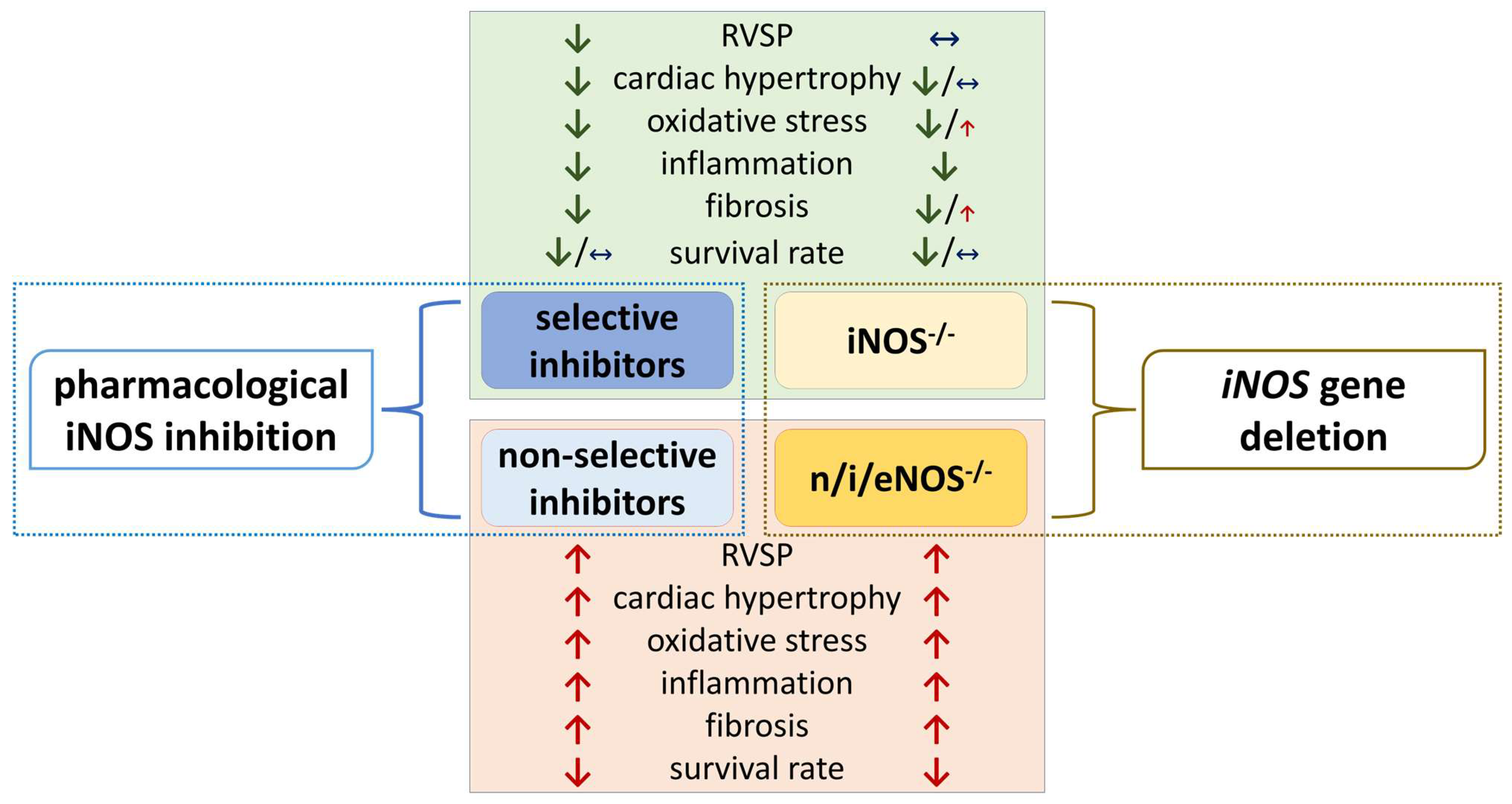 Antioxidants 14 00377 g003
