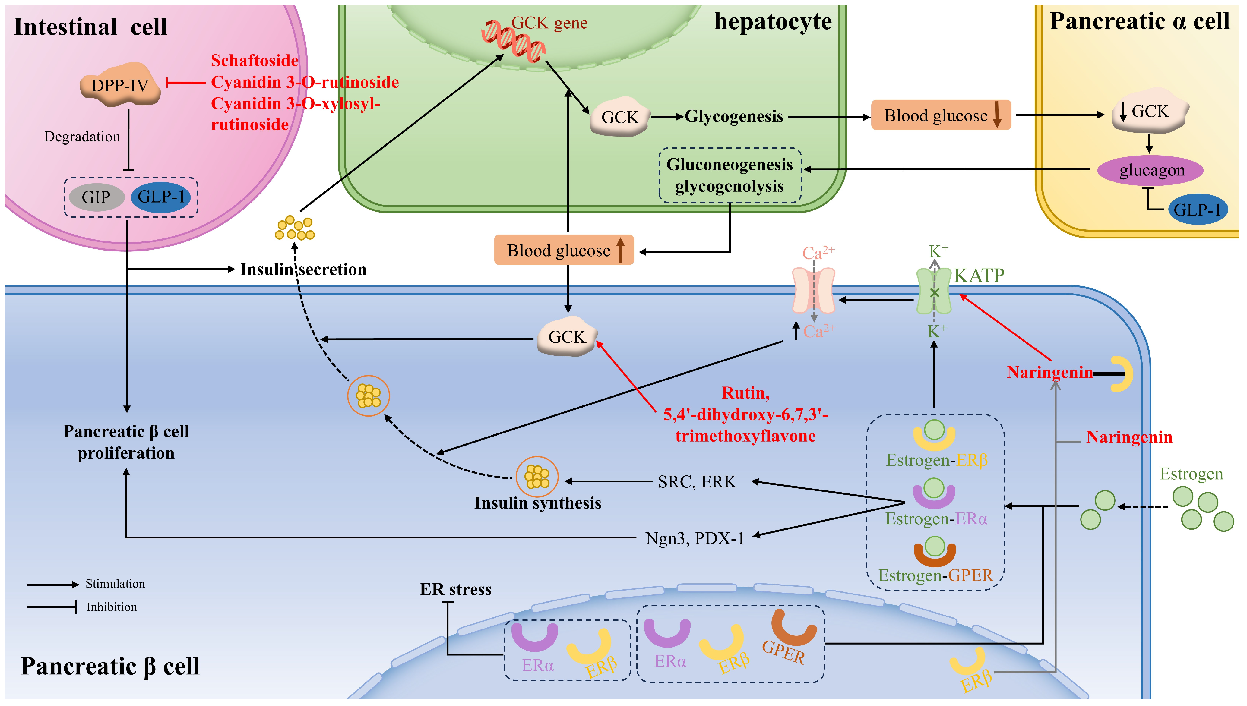 Antioxidants 14 00378 g002
