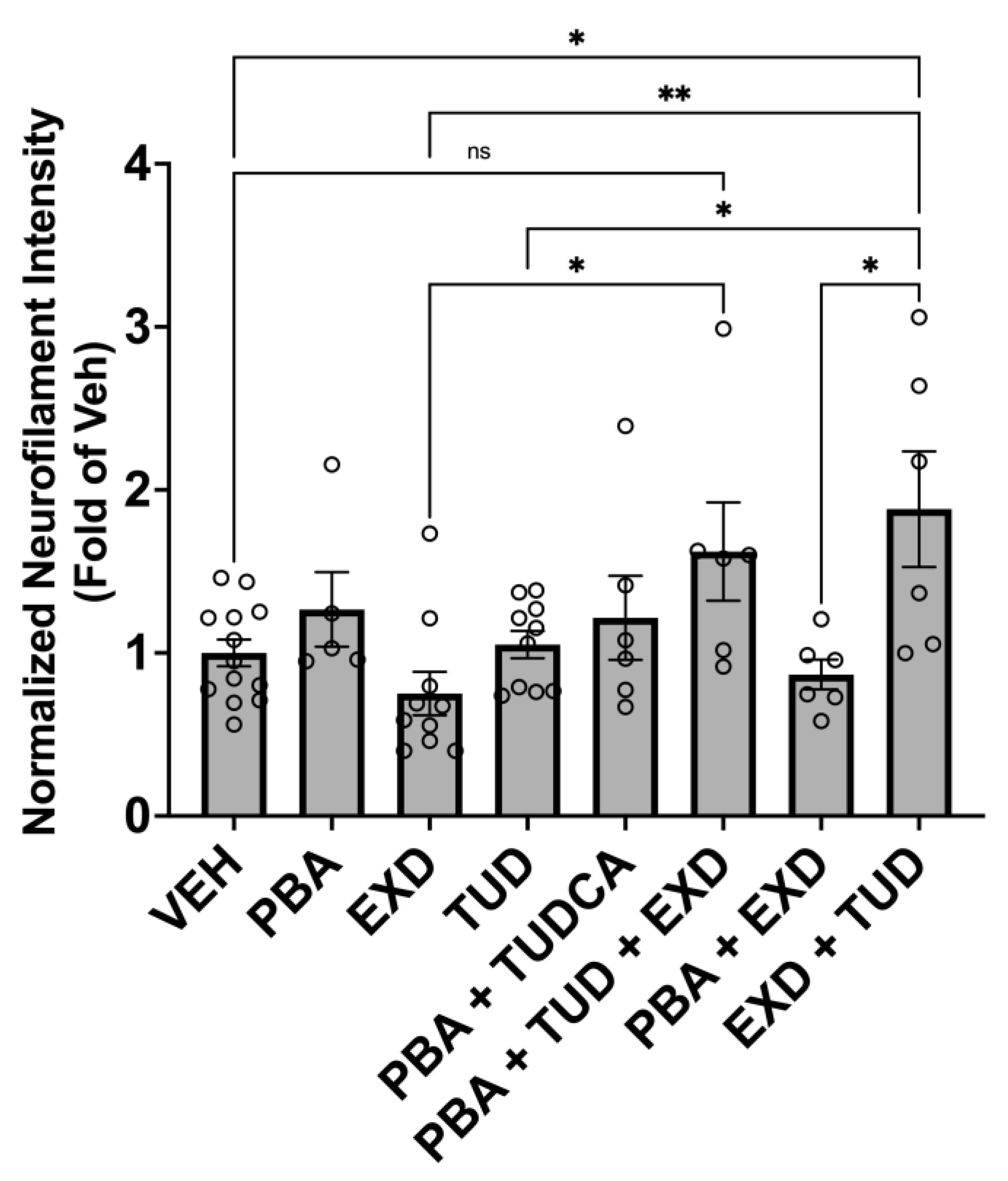 Antioxidants 14 00396 g004