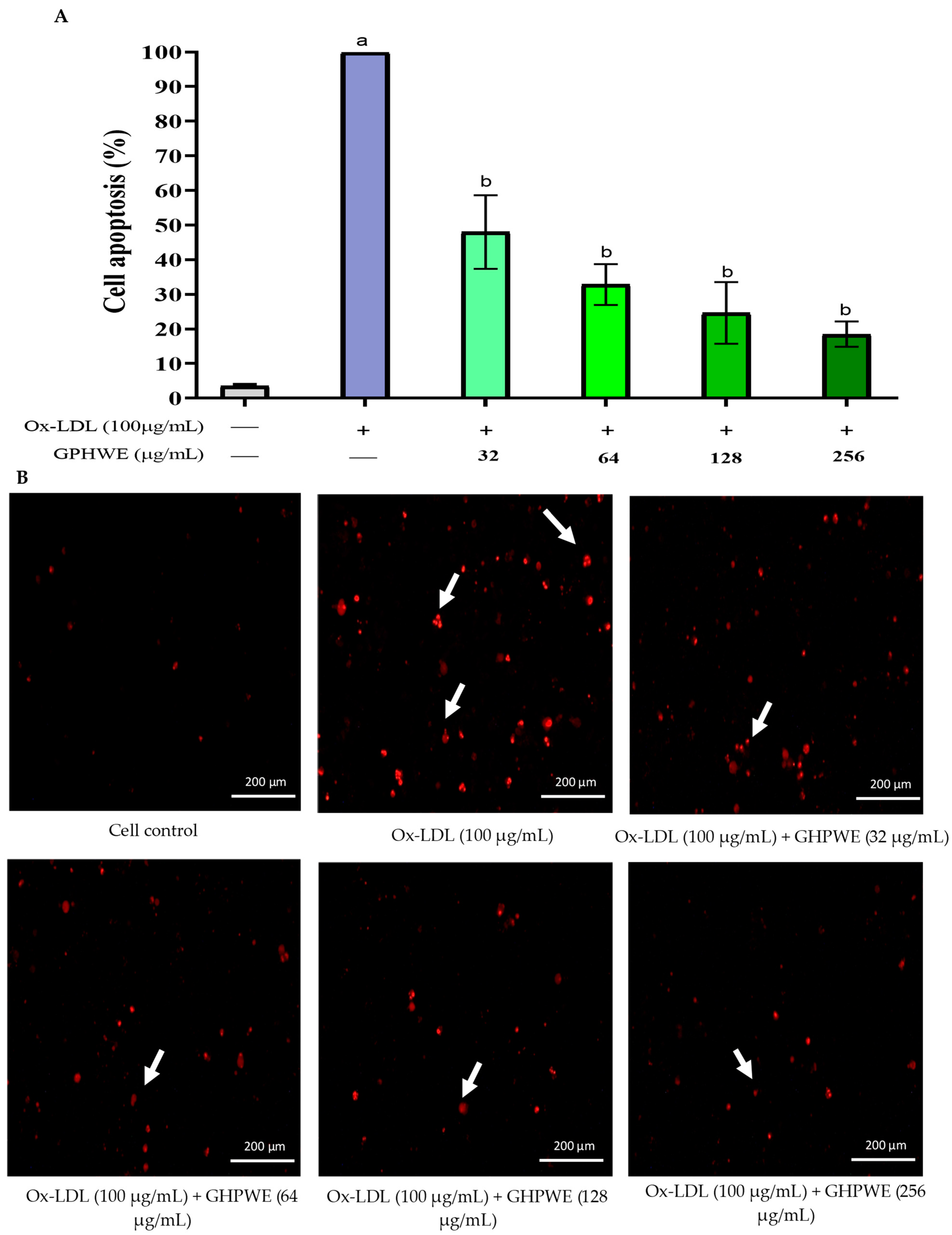 Antioxidants 14 00404 g002