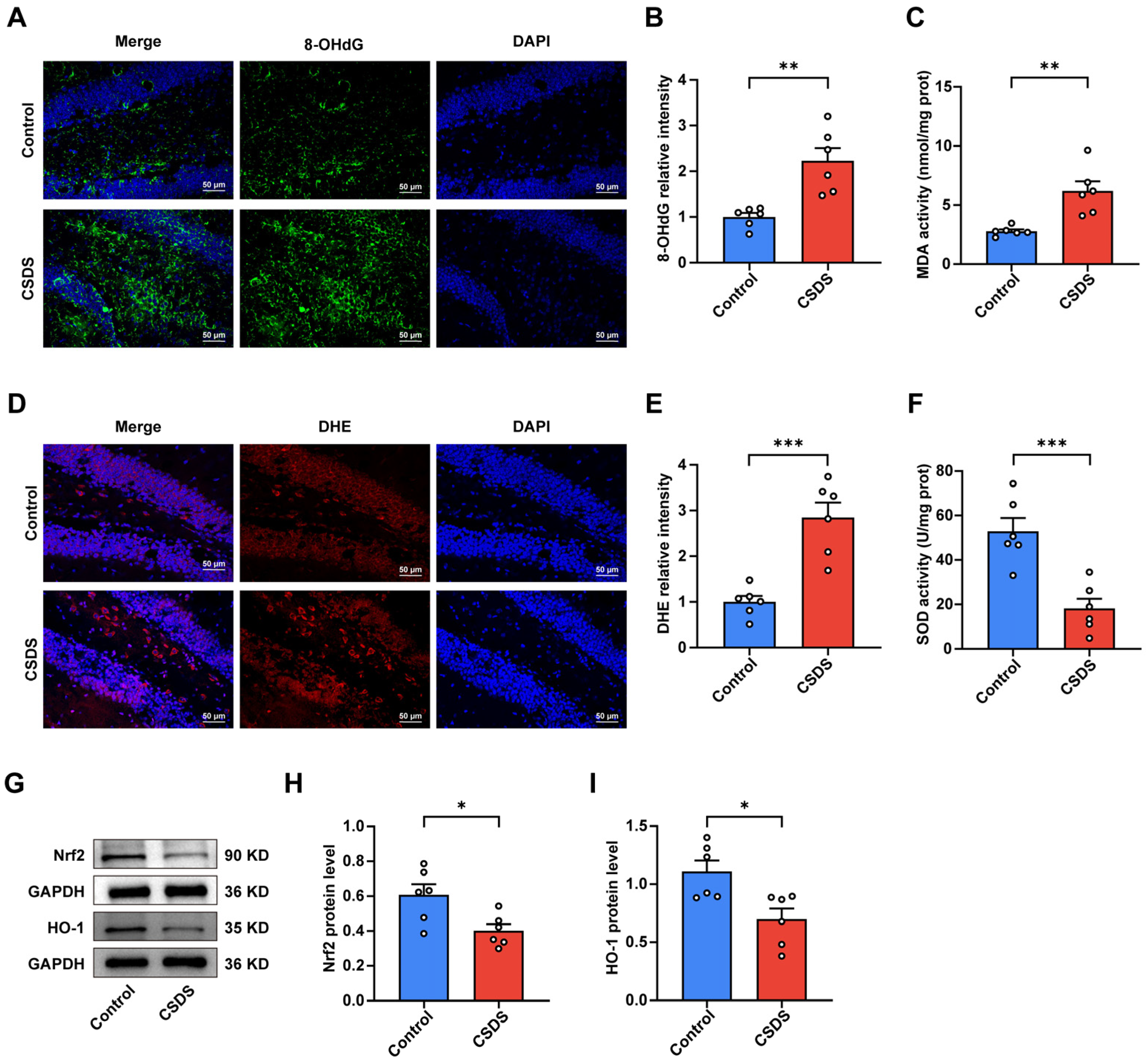 Antioxidants 14 00410 g002