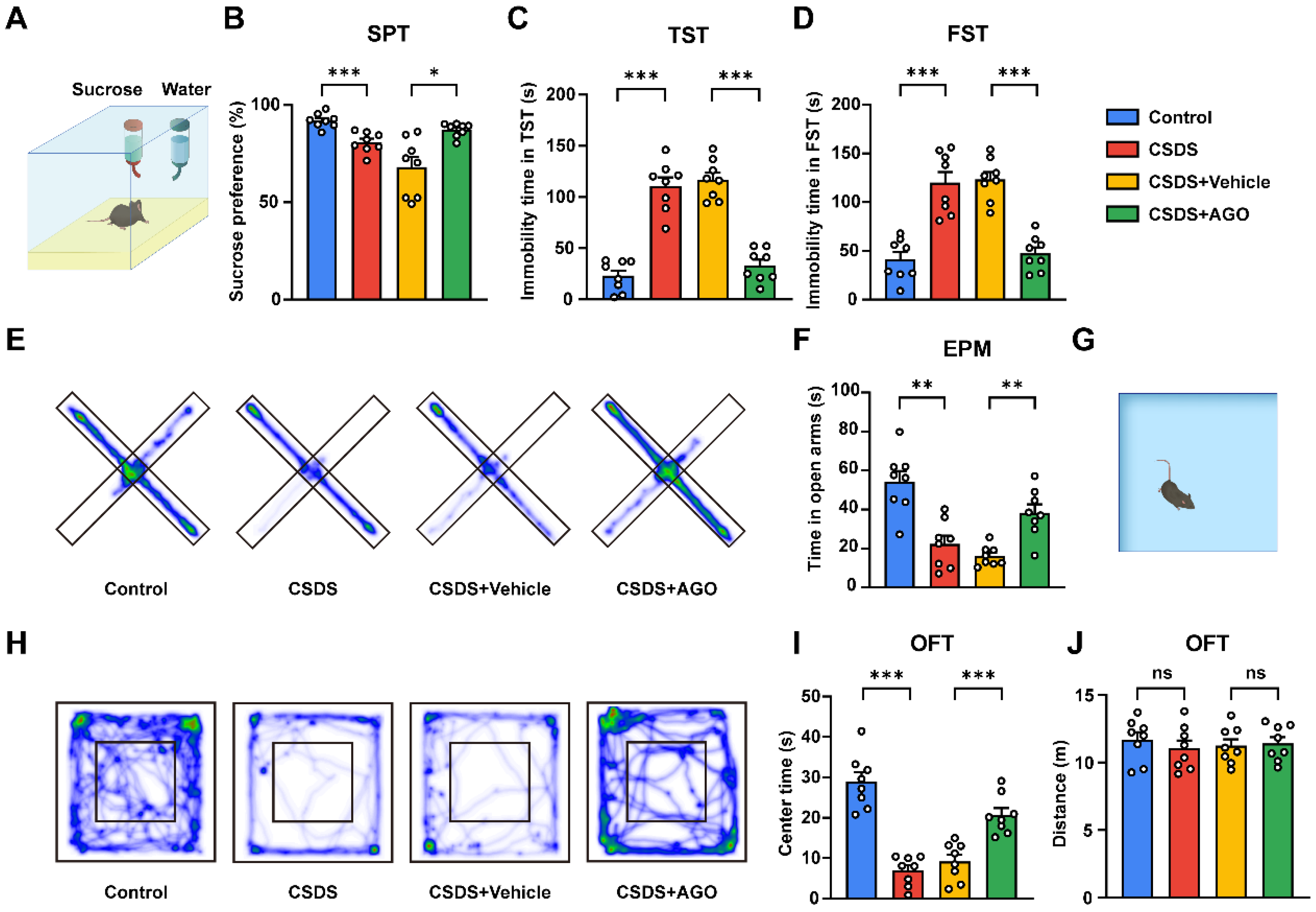 Antioxidants 14 00410 g004