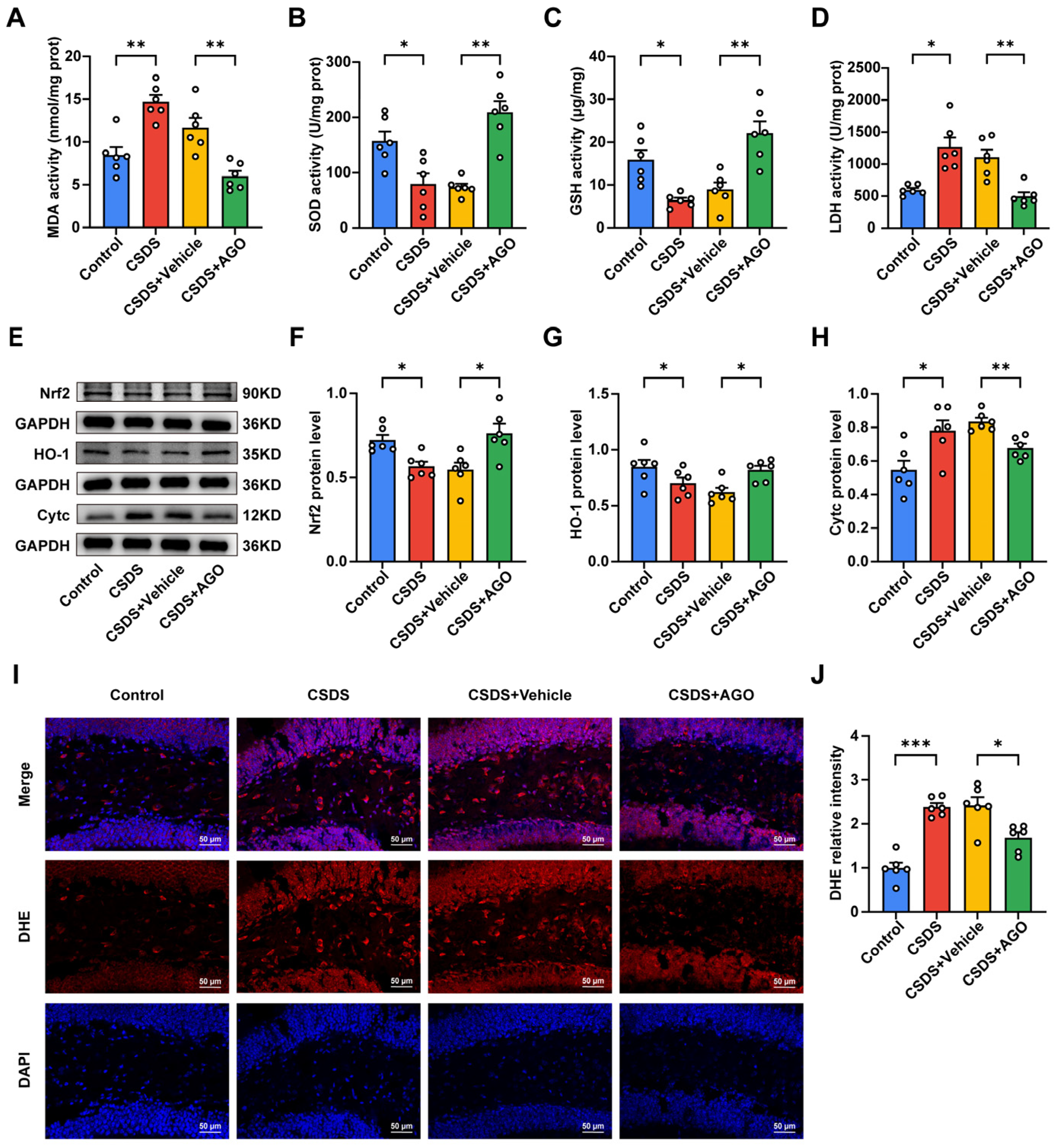 Antioxidants 14 00410 g005