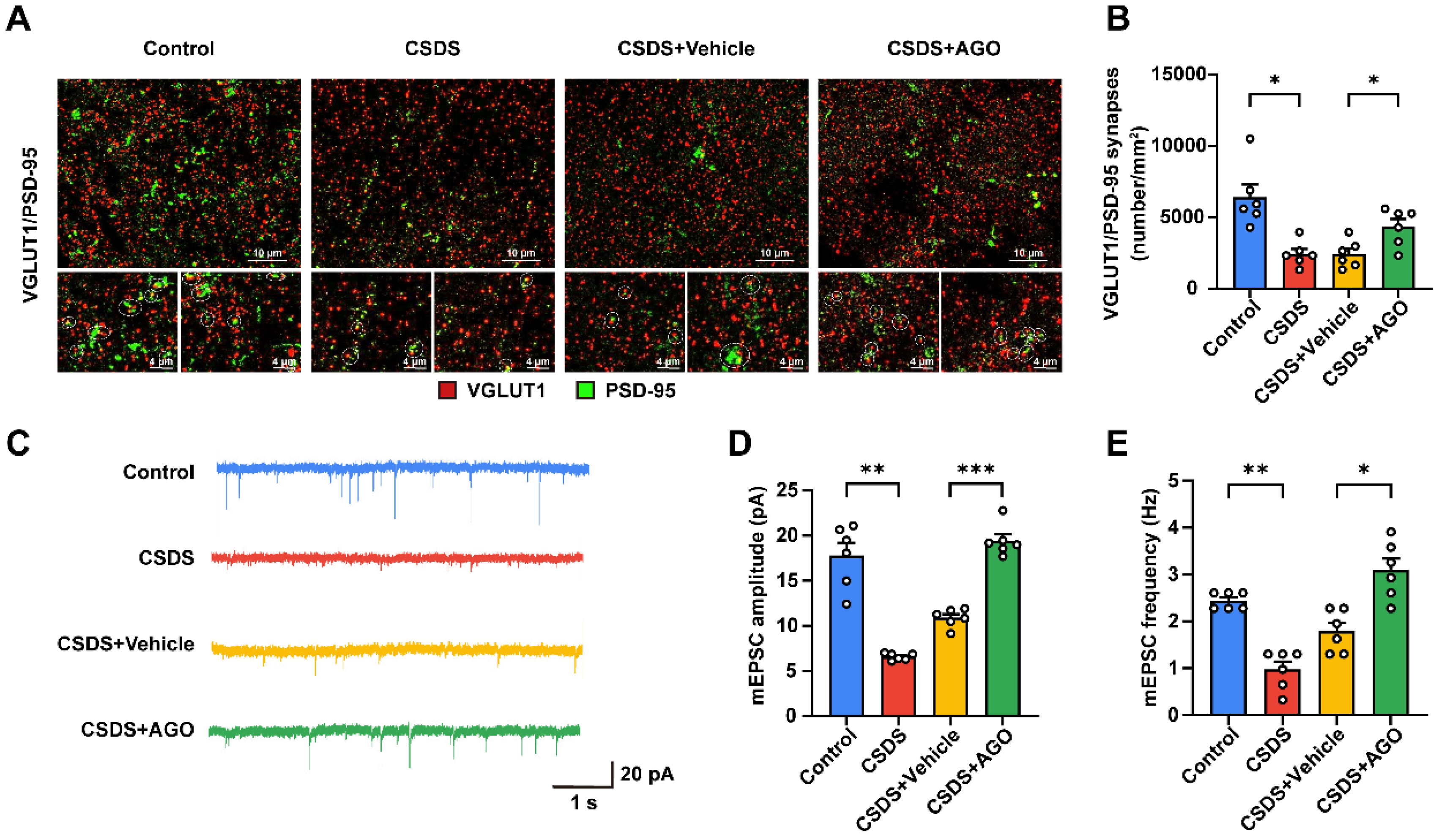 Antioxidants 14 00410 g007