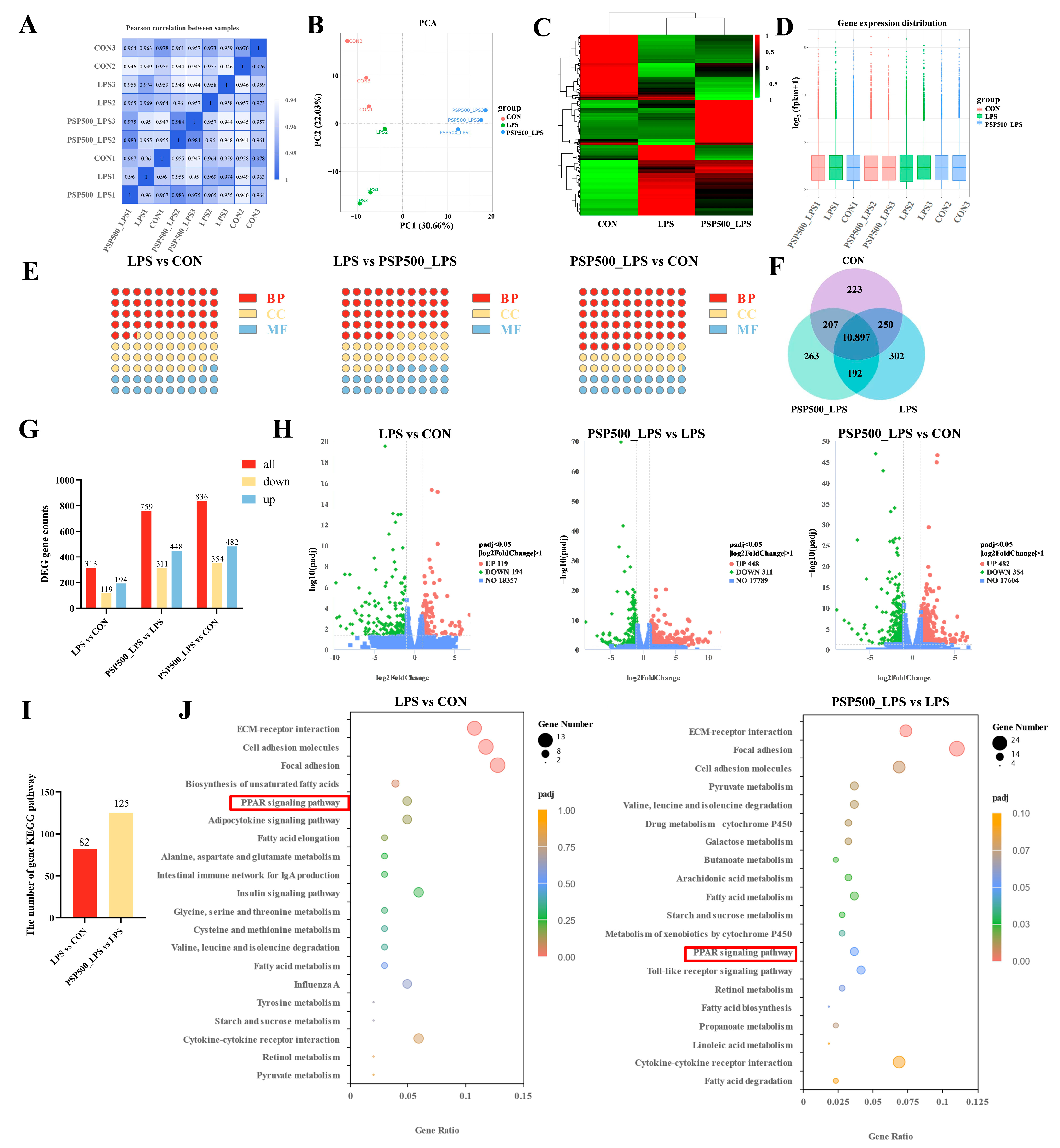 Antioxidants 14 00418 g006