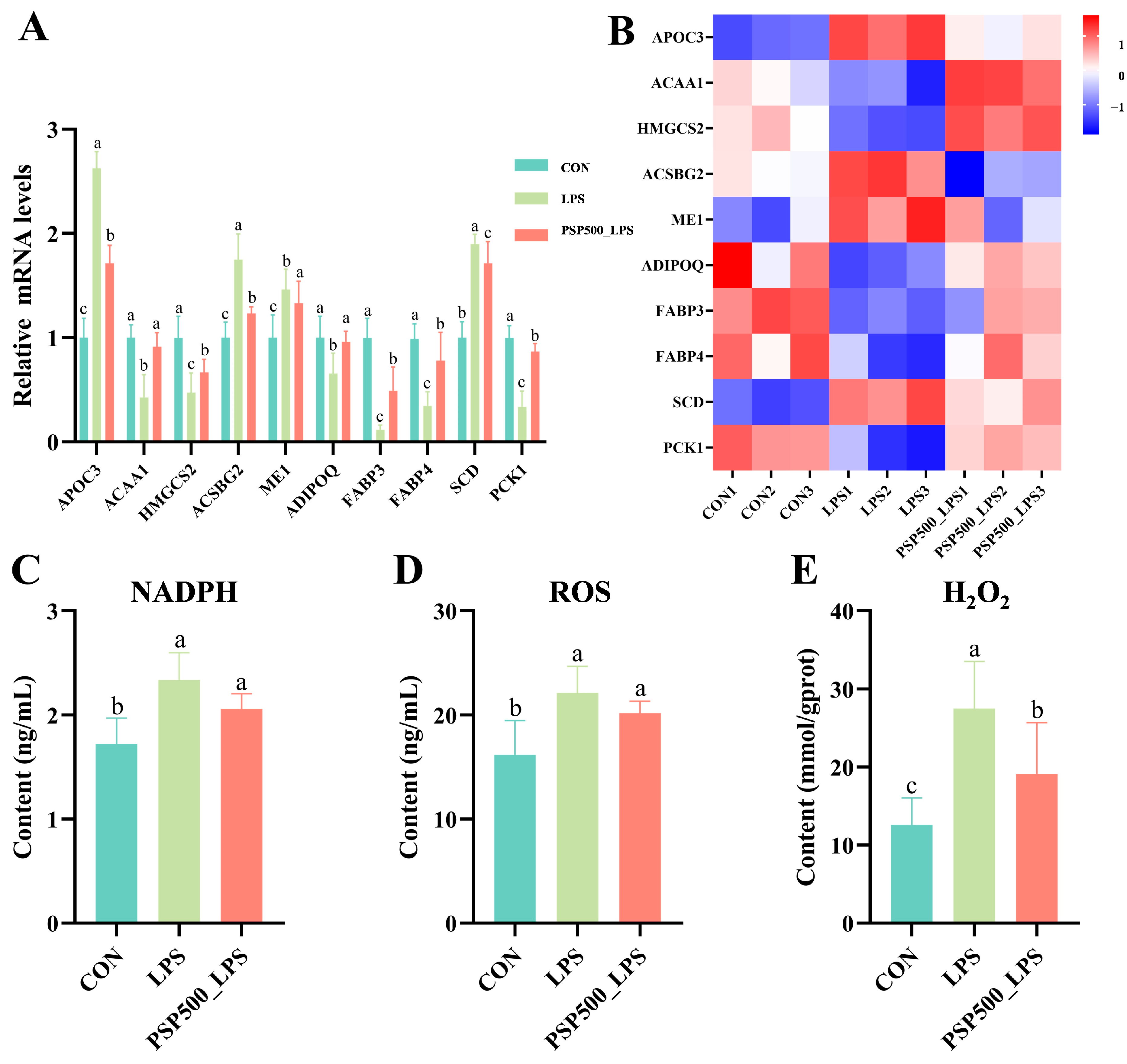 Antioxidants 14 00418 g007