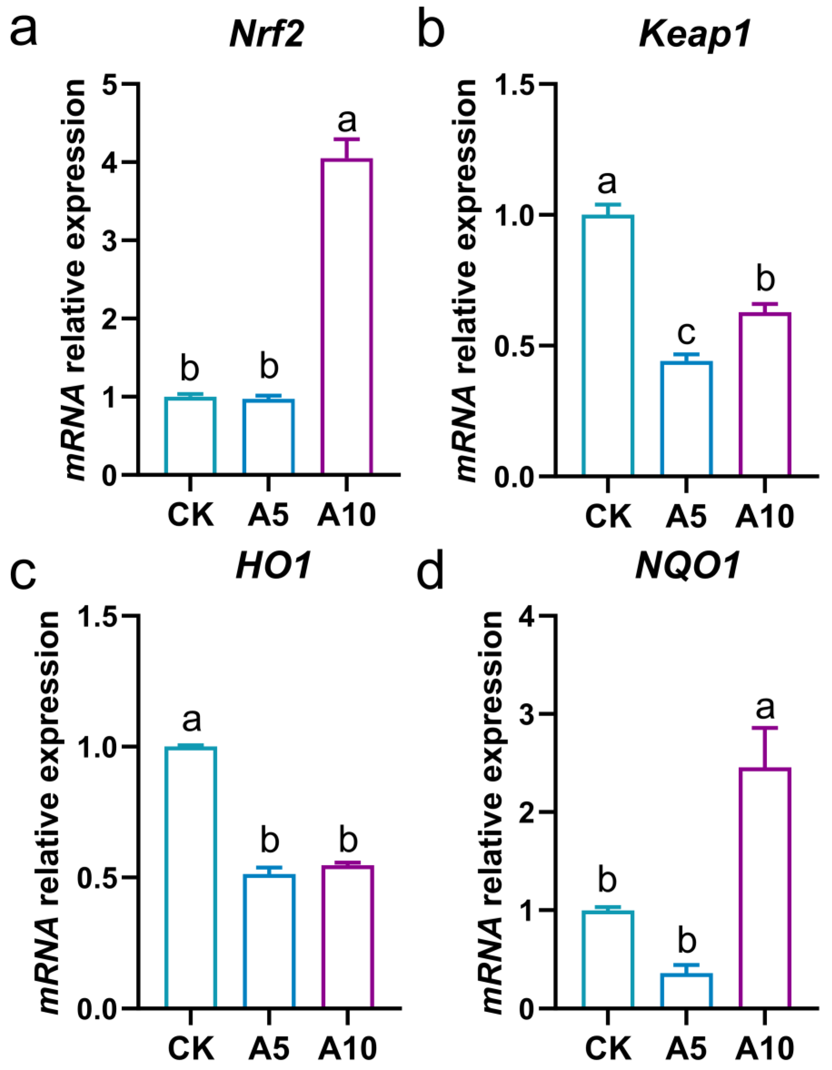 Antioxidants 14 00419 g003