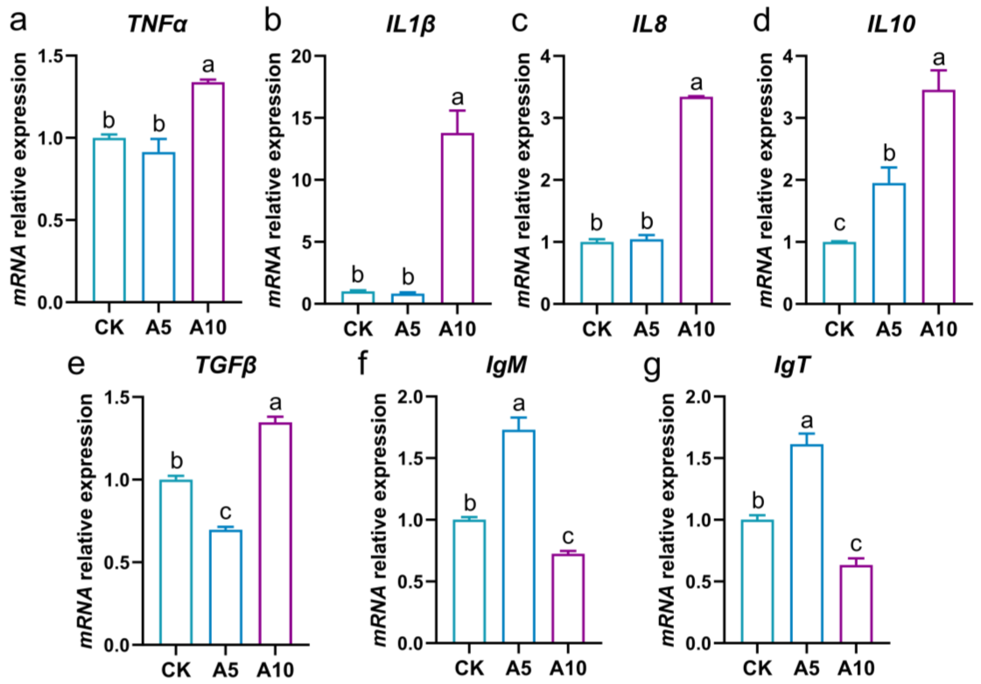Antioxidants 14 00419 g005