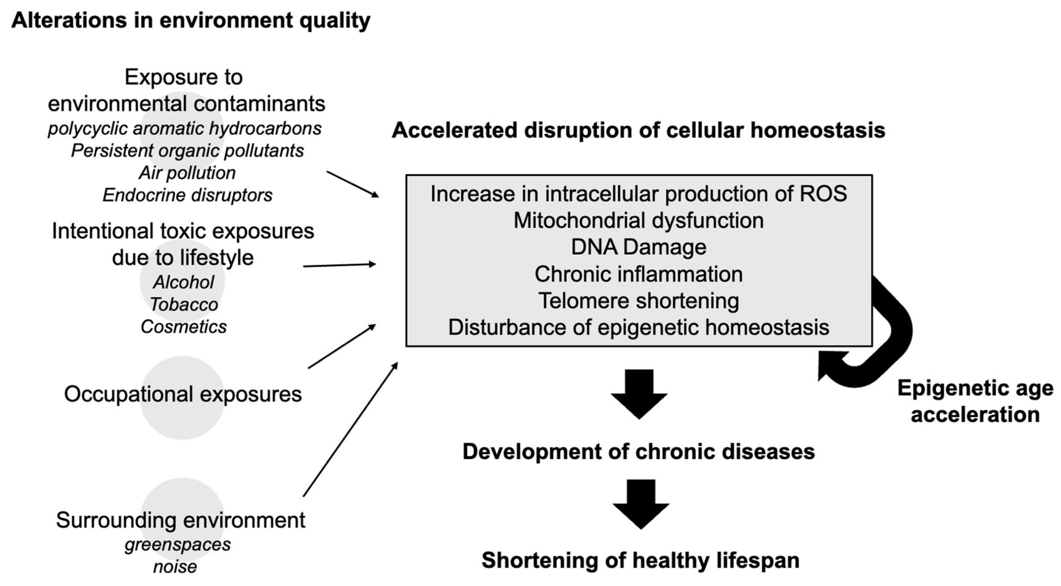 Antioxidants 14 00421 g001