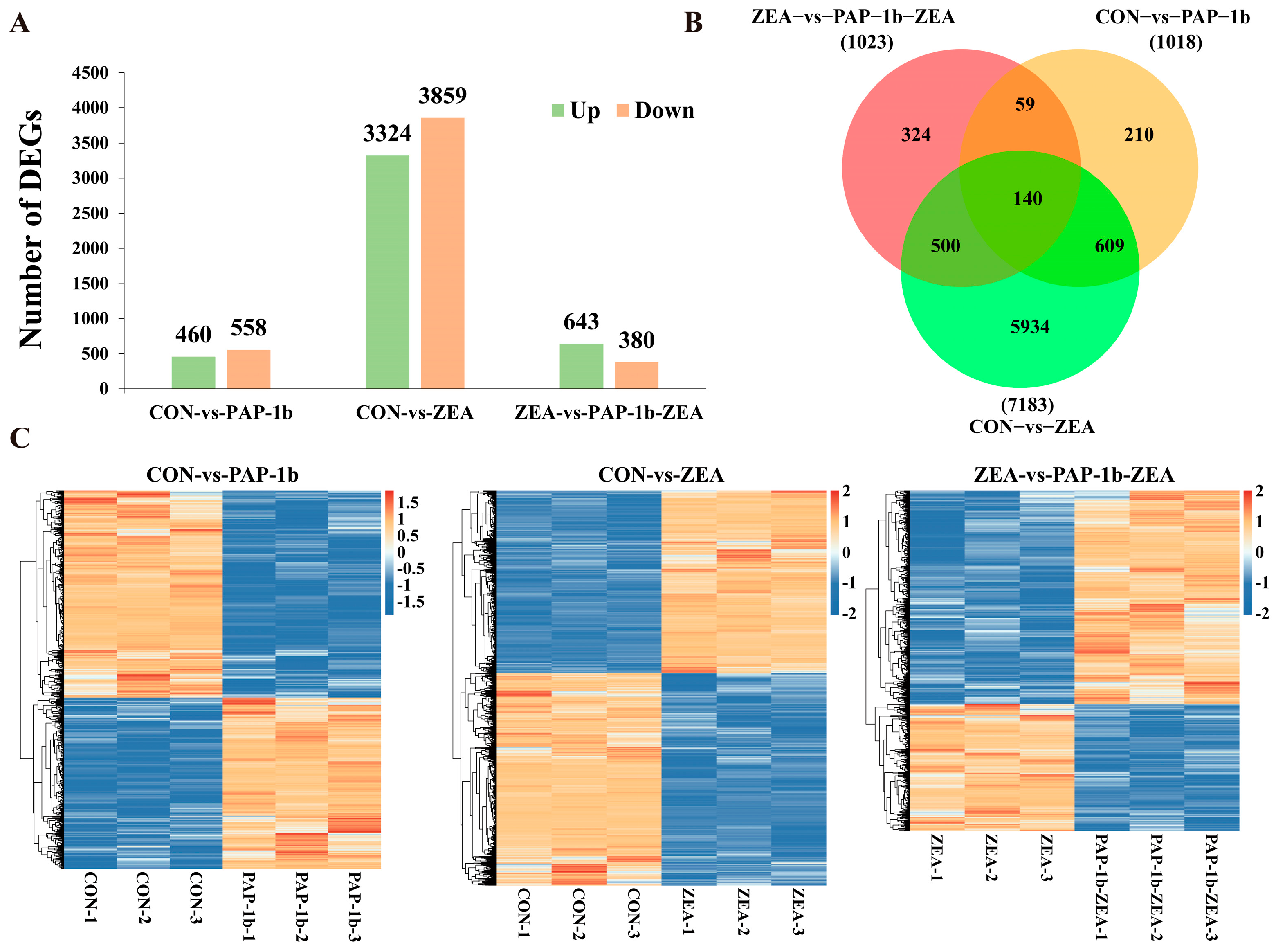 Antioxidants 14 00439 g002