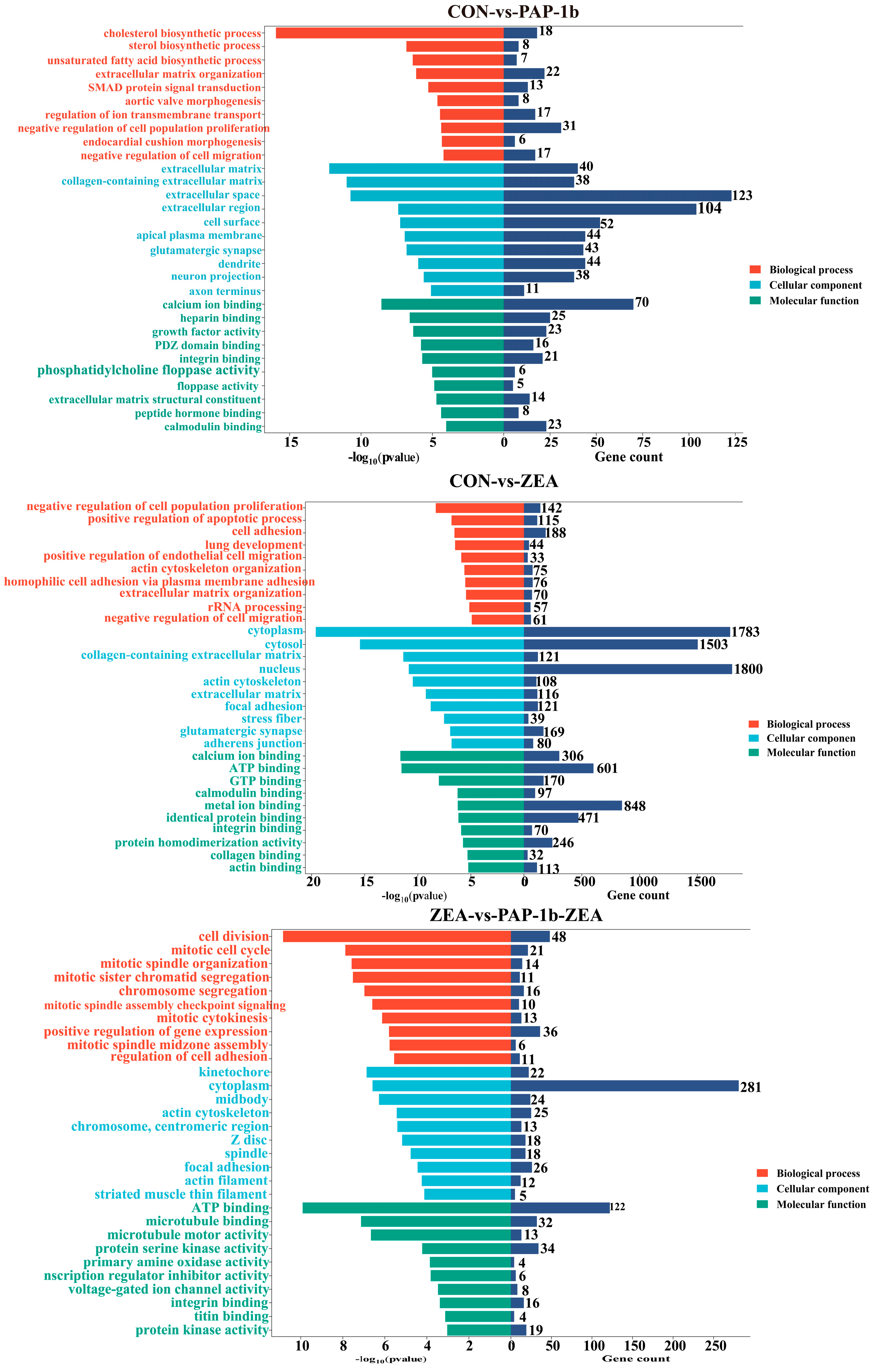 Antioxidants 14 00439 g003