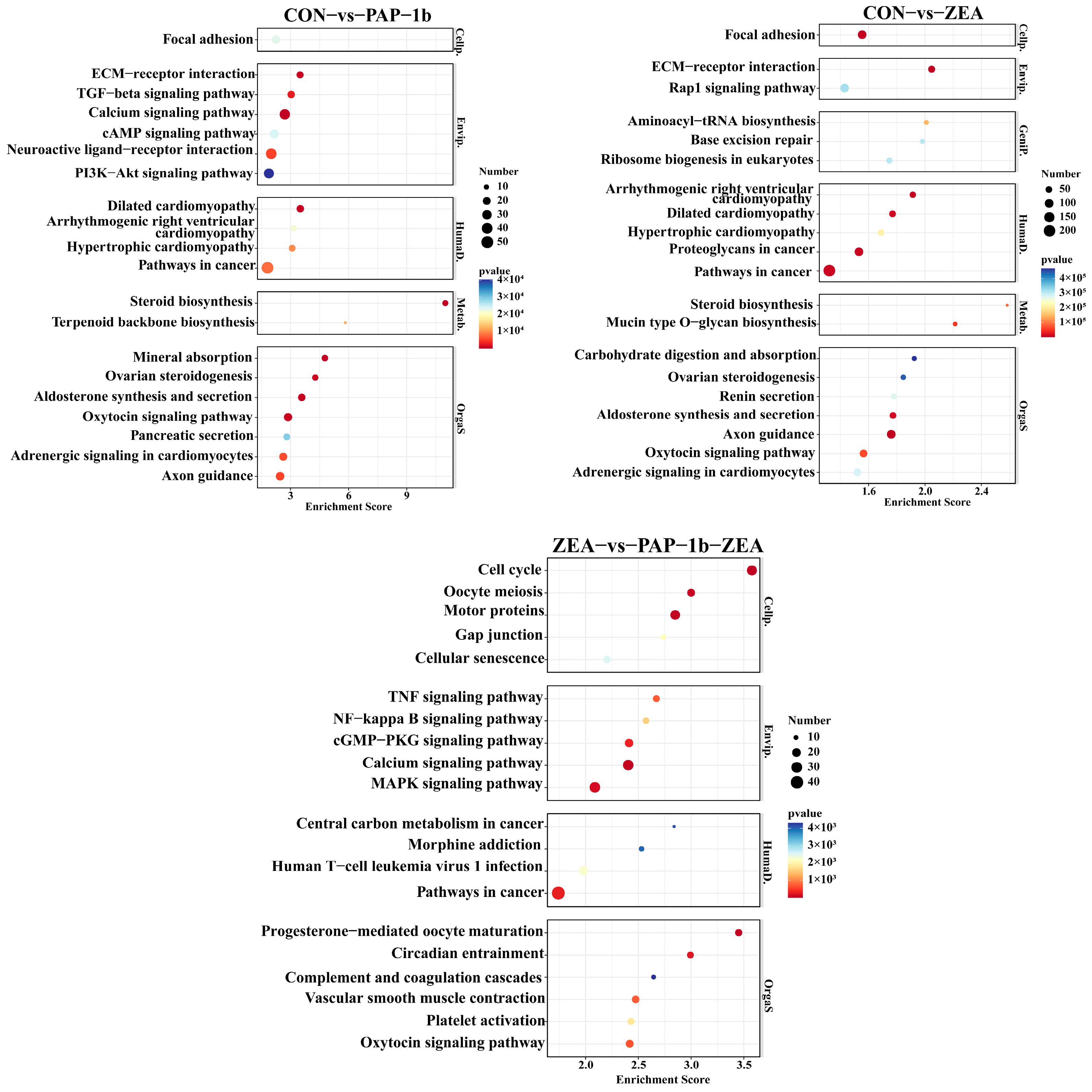 Antioxidants 14 00439 g004