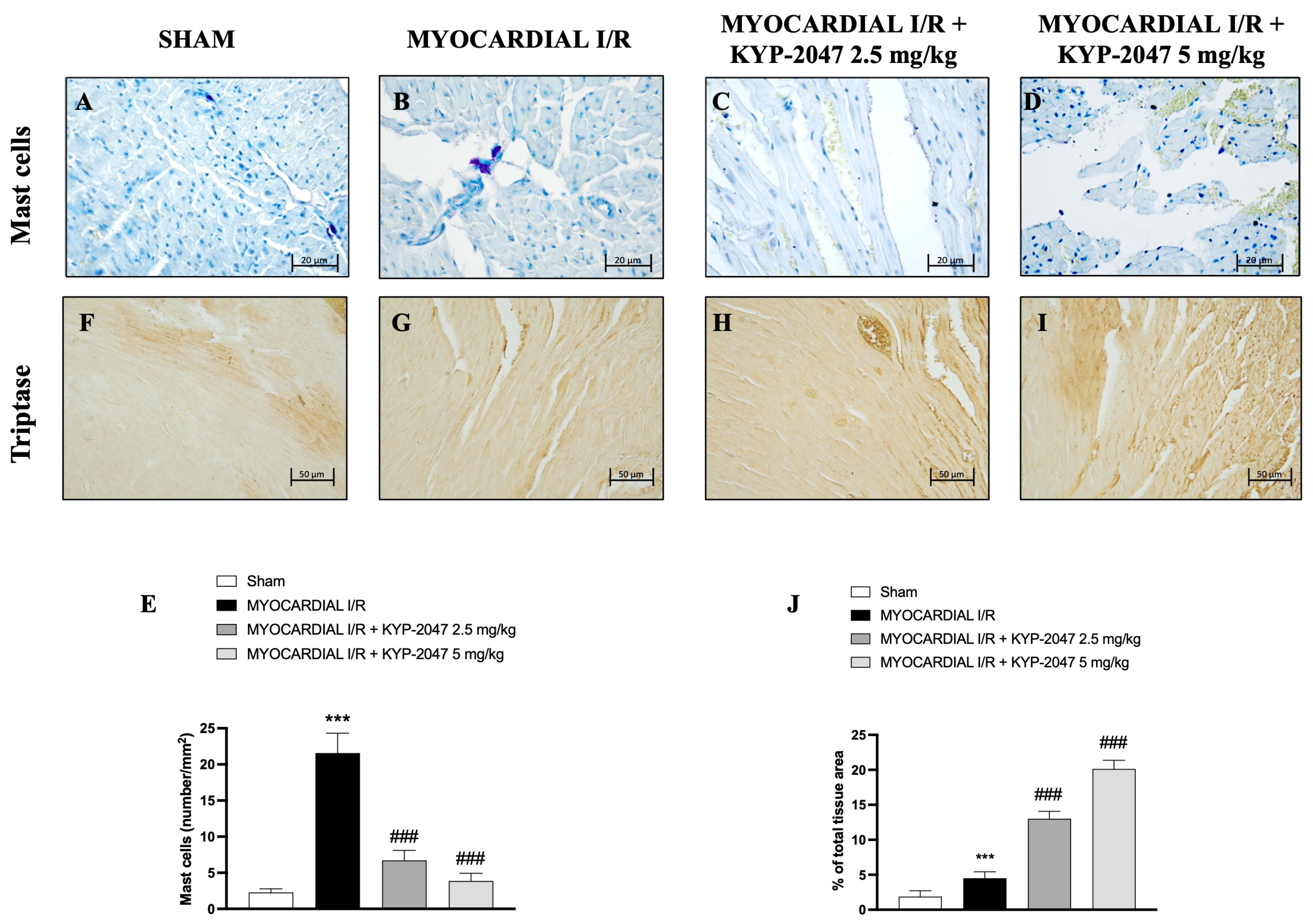 Antioxidants 14 00442 g003