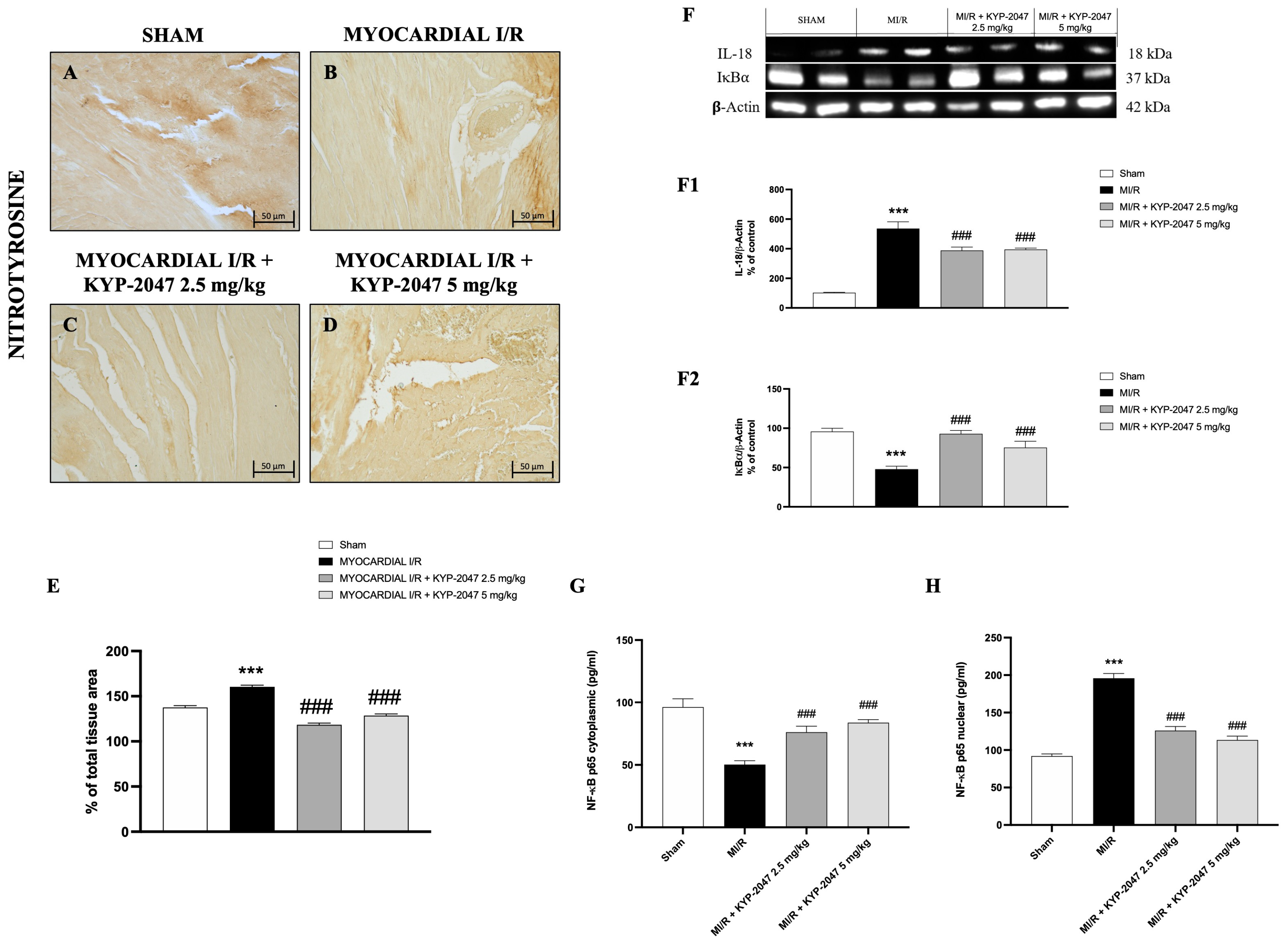 Antioxidants 14 00442 g005