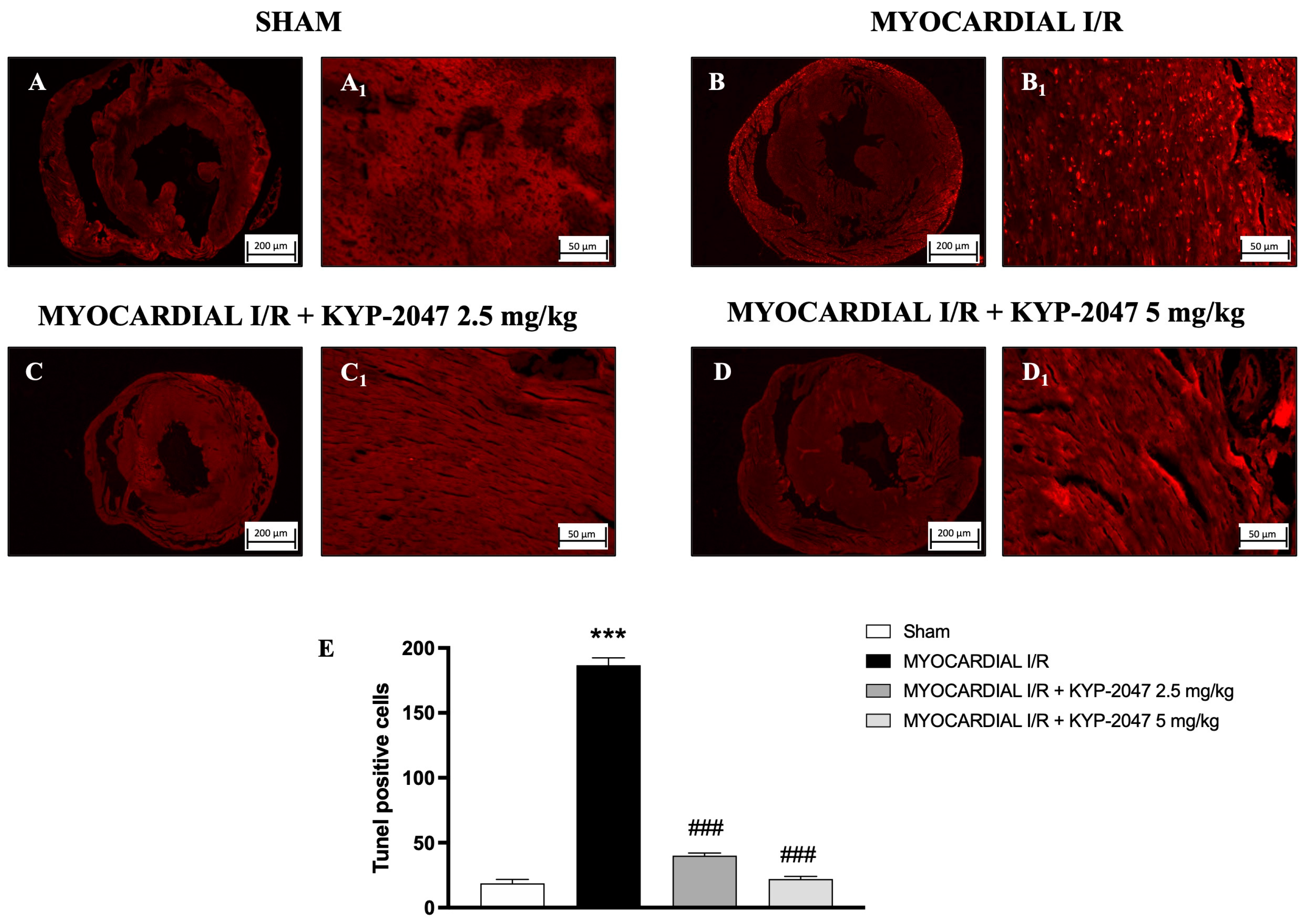 Antioxidants 14 00442 g006