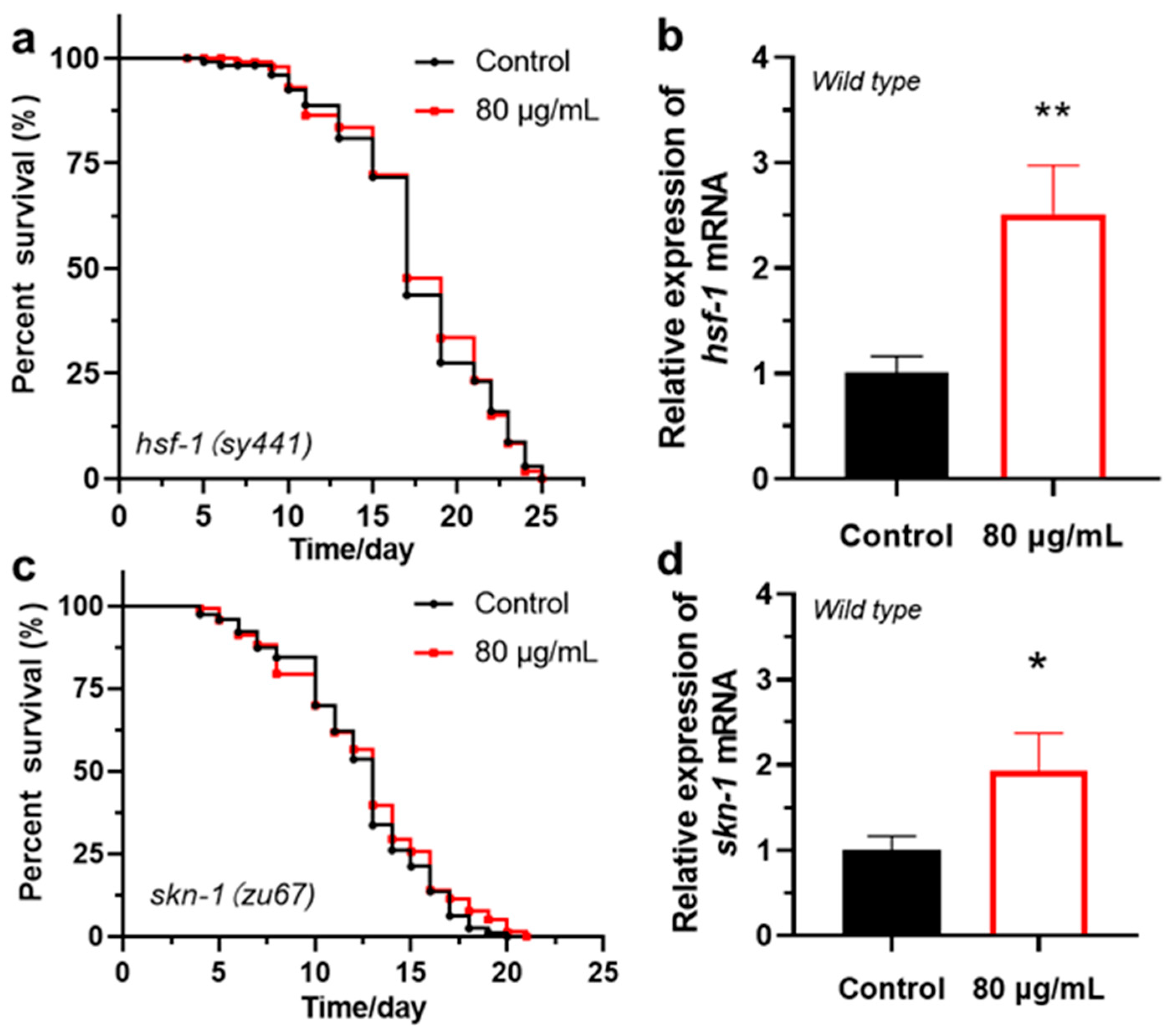 Antioxidants 14 00450 g005