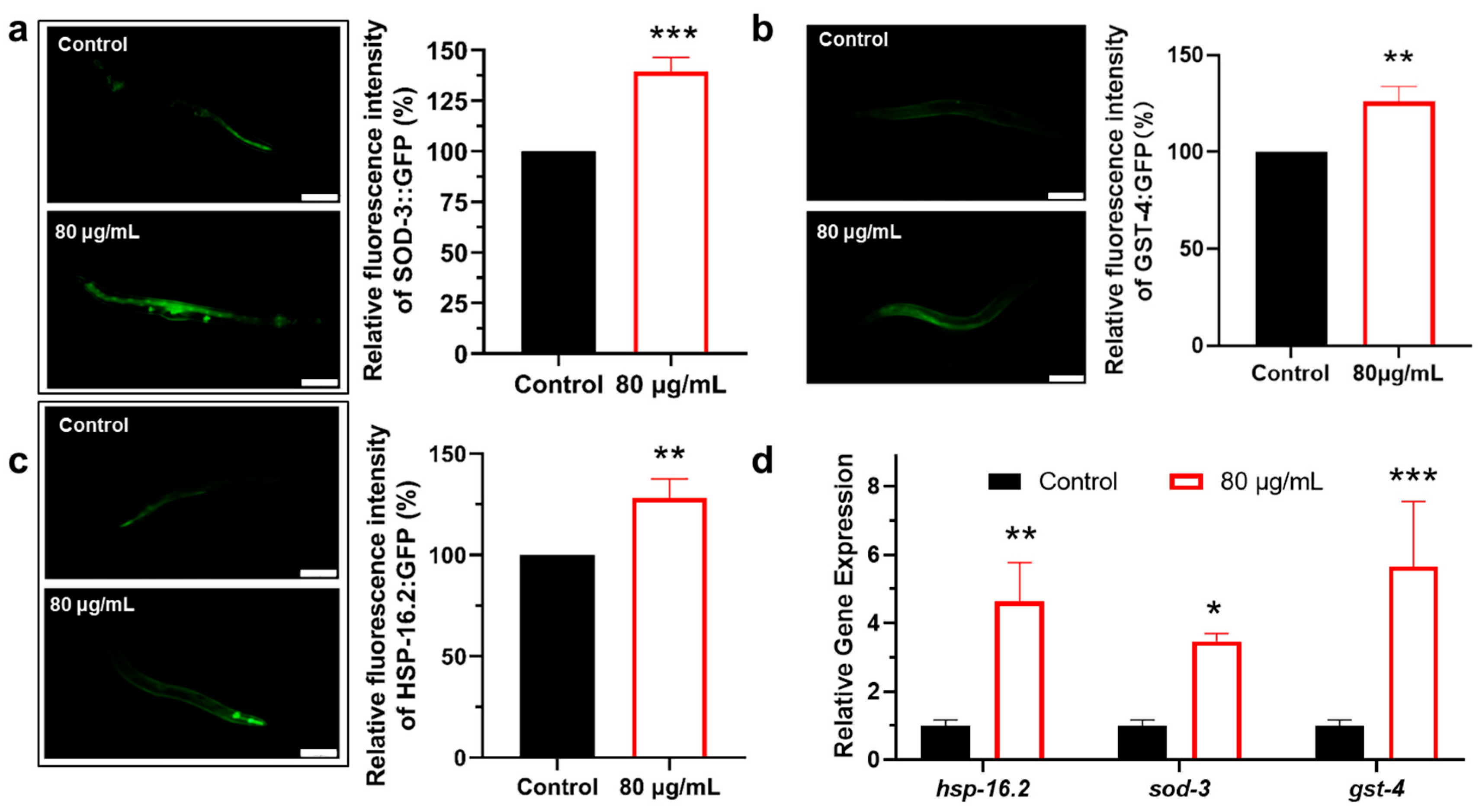Antioxidants 14 00450 g006