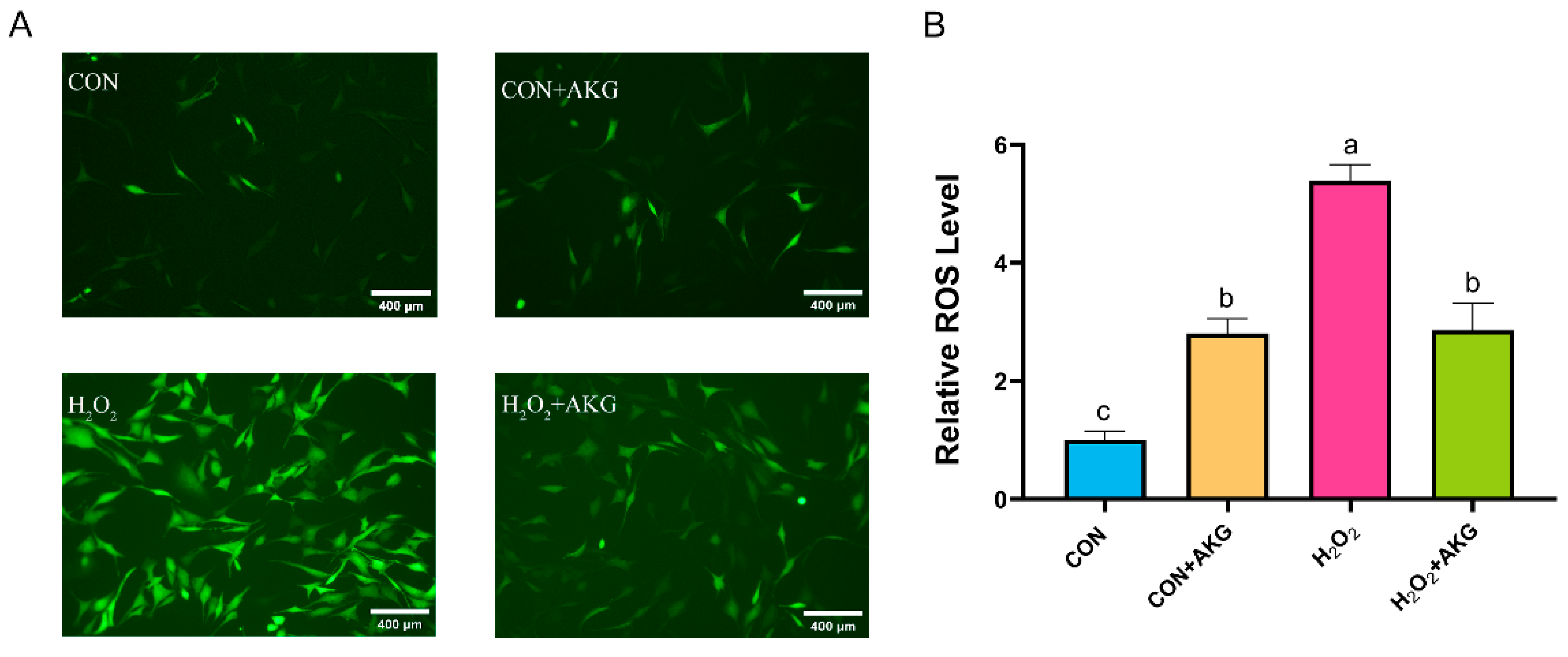 Antioxidants 14 00455 g002