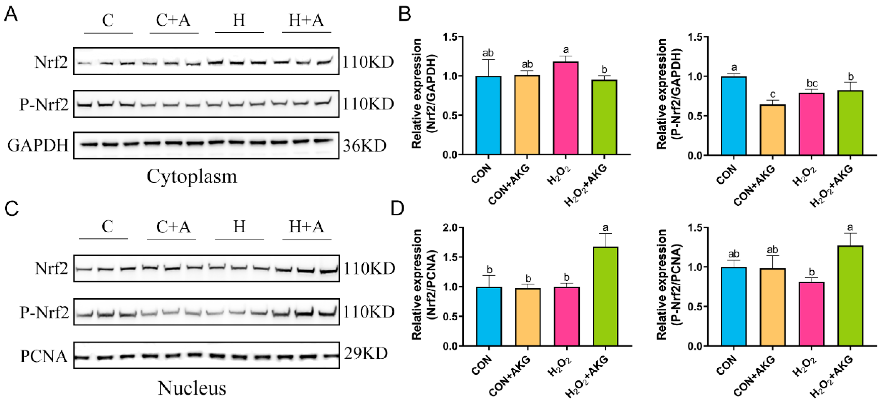 Antioxidants 14 00455 g008