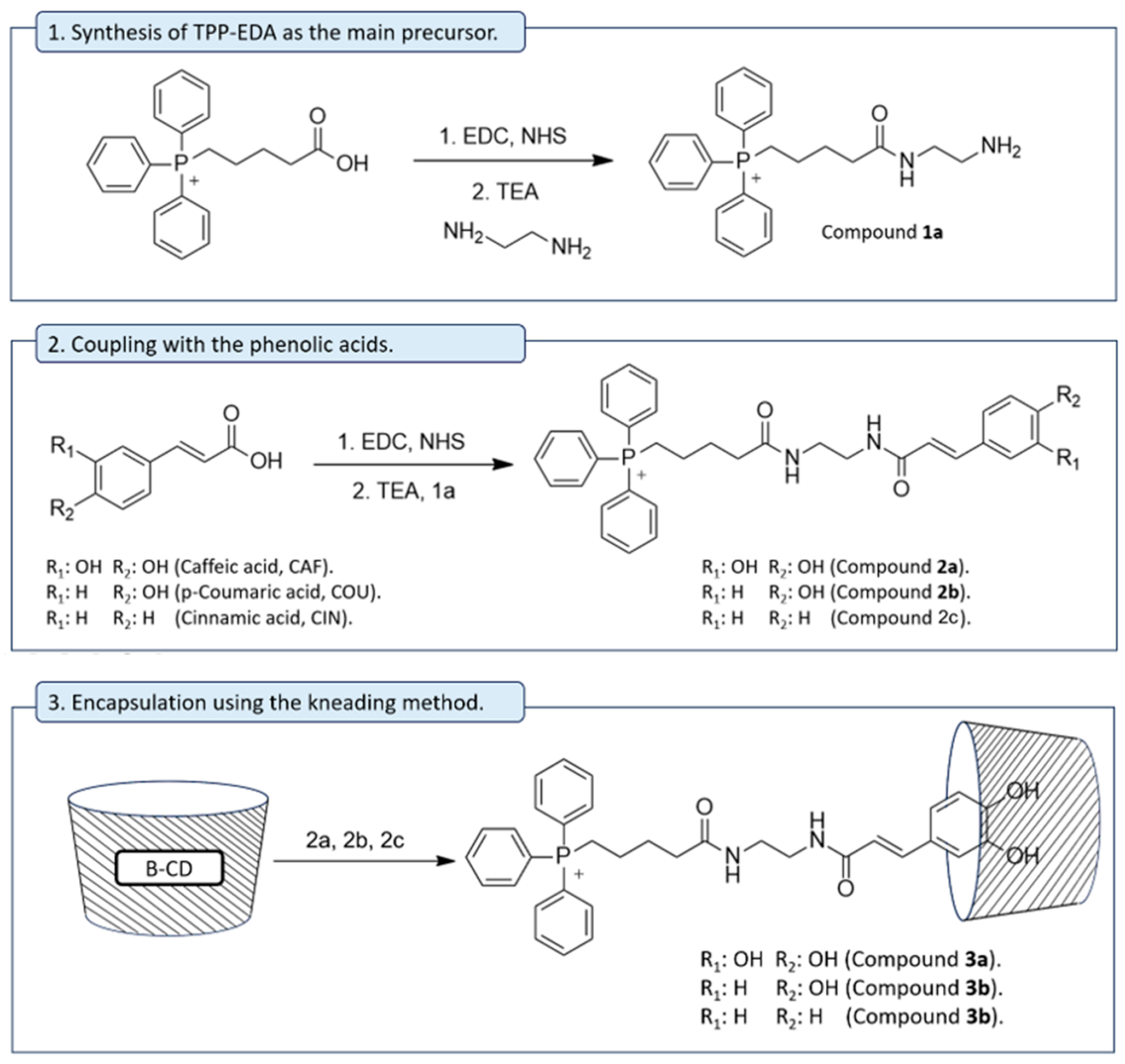 Antioxidants 14 00465 sch001