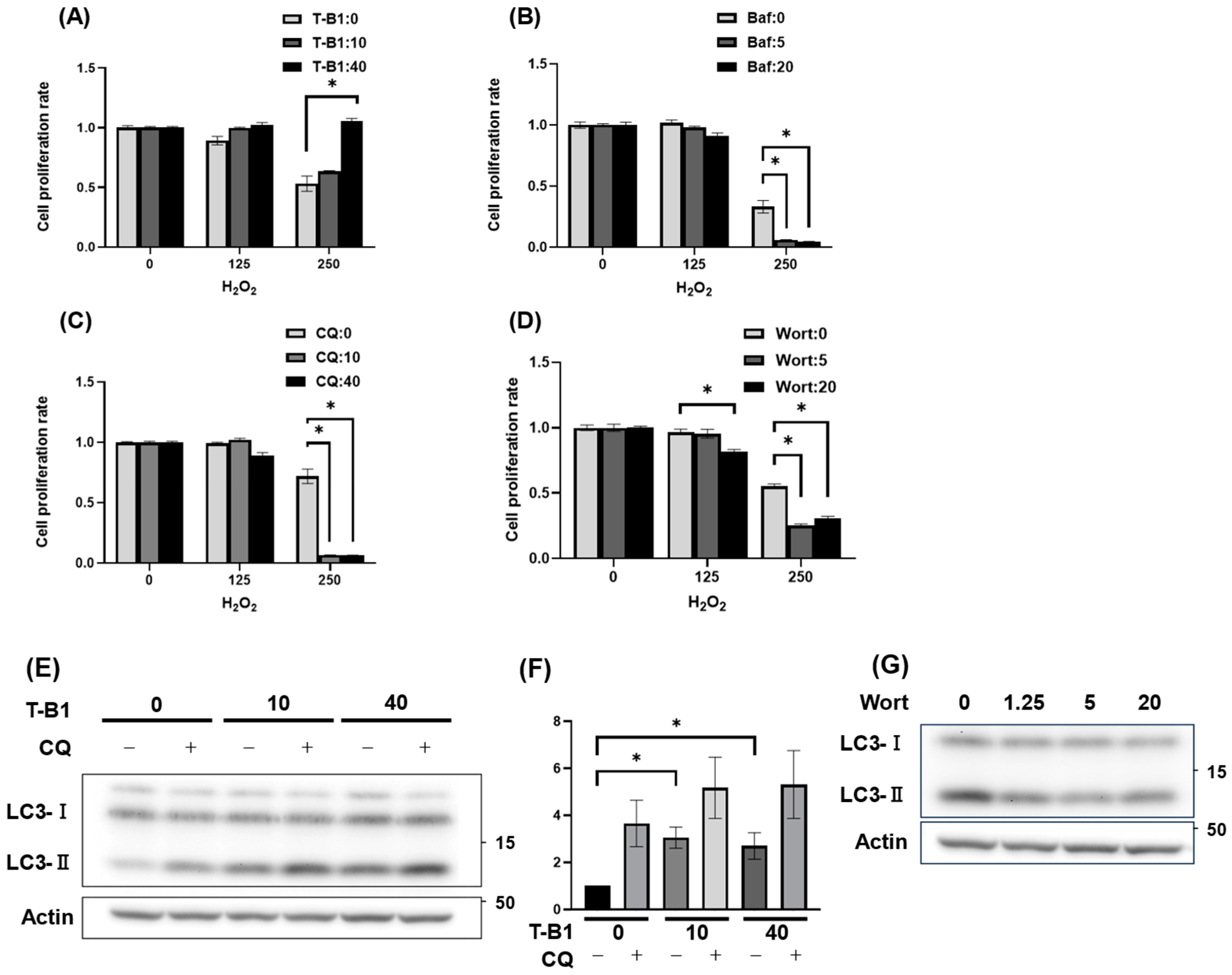 Antioxidants 14 00470 g002