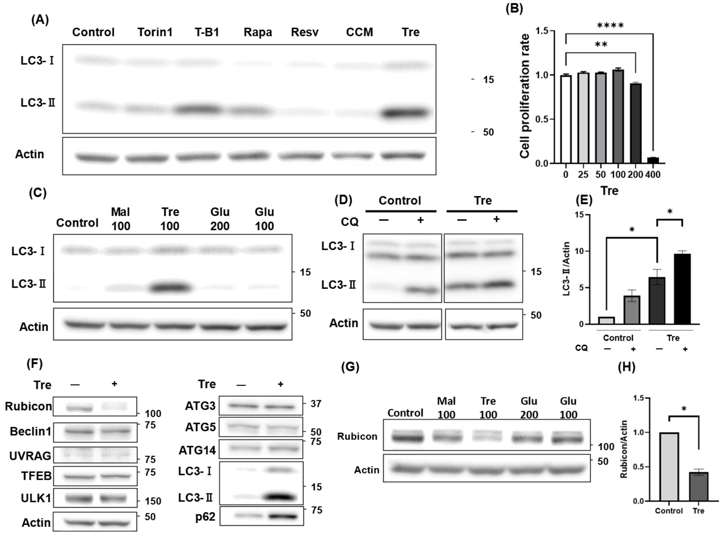Antioxidants 14 00470 g003