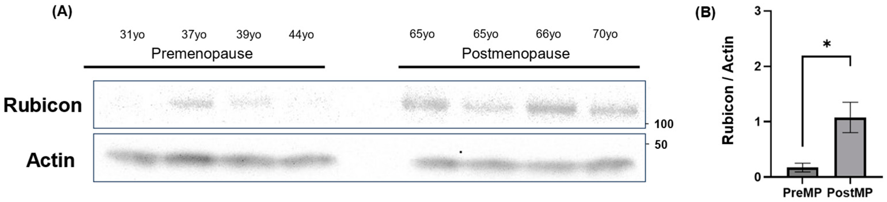 Antioxidants 14 00470 g007