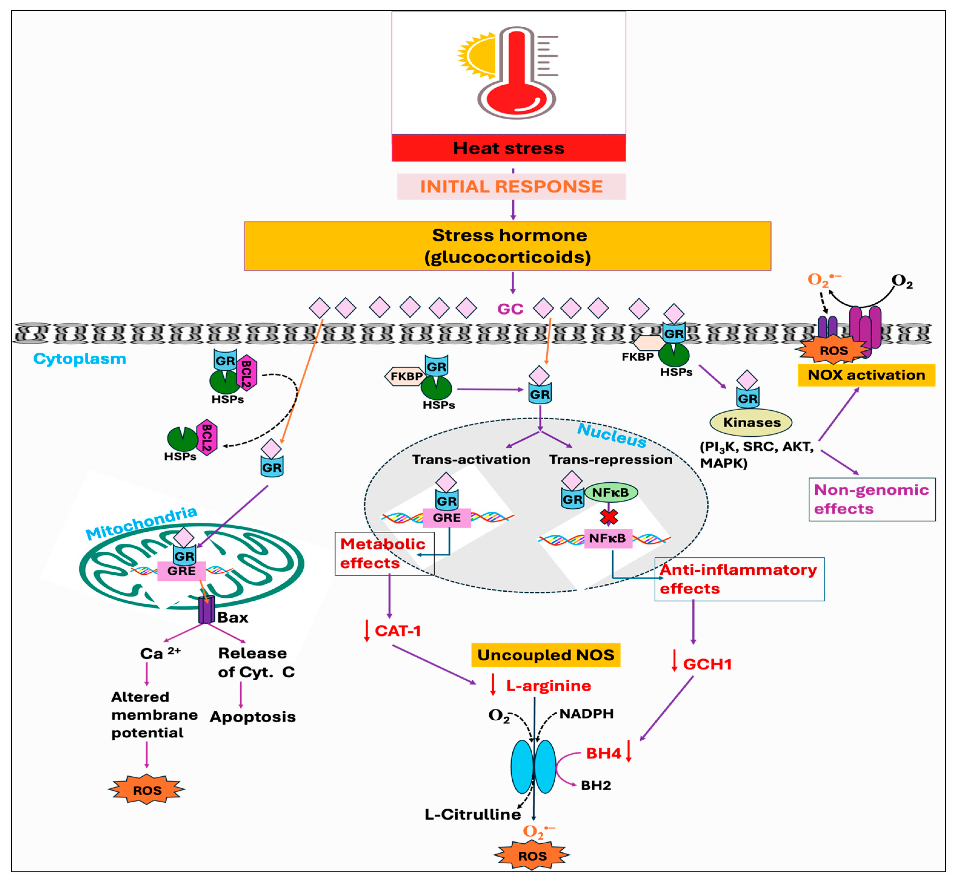 Antioxidants 14 00471 g005