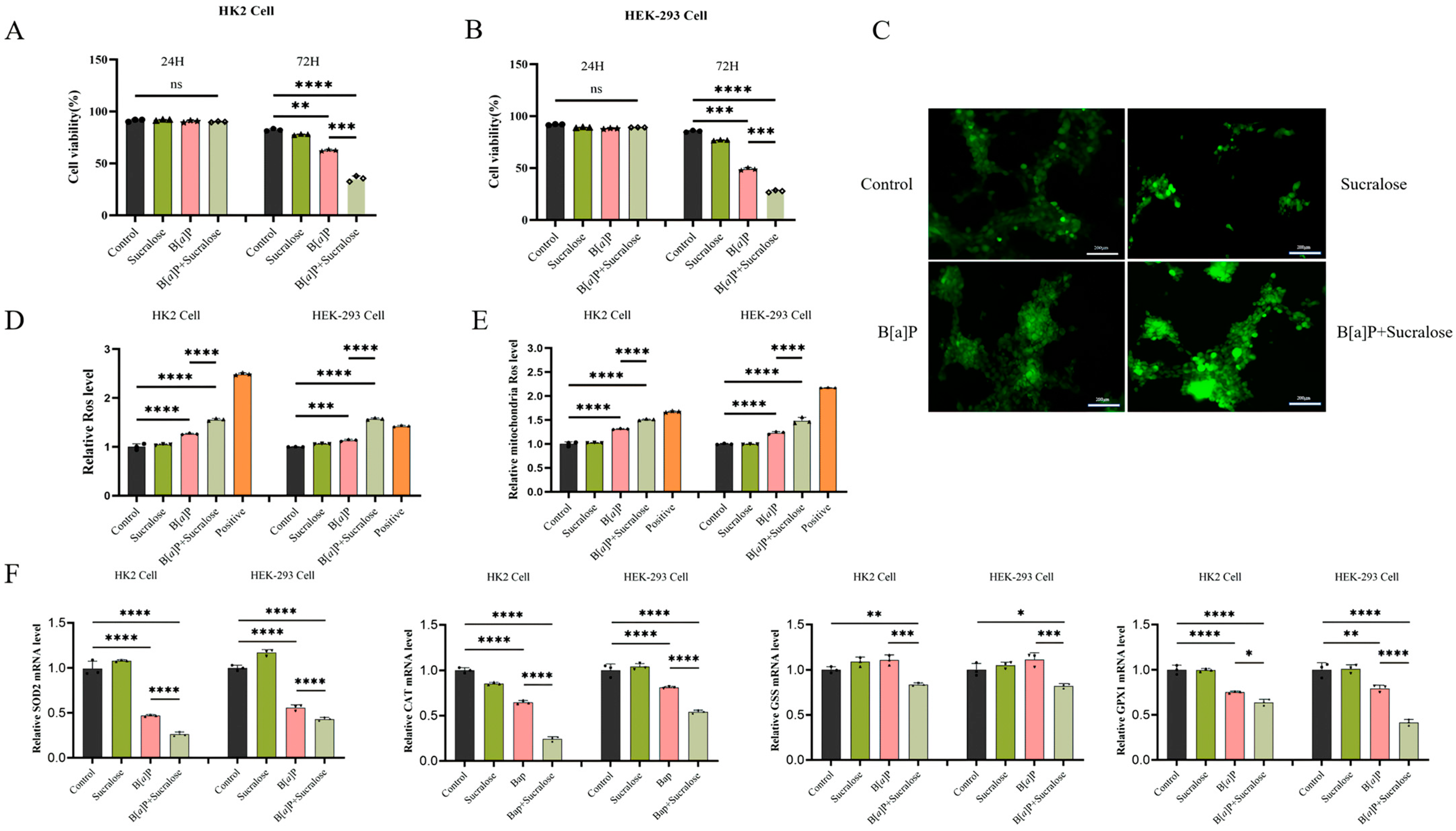 Antioxidants 14 00474 g002