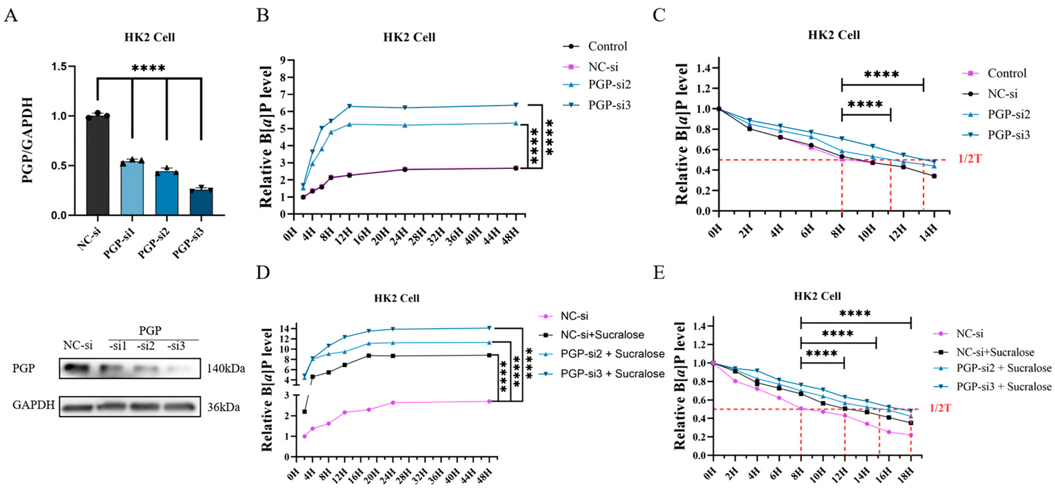 Antioxidants 14 00474 g004