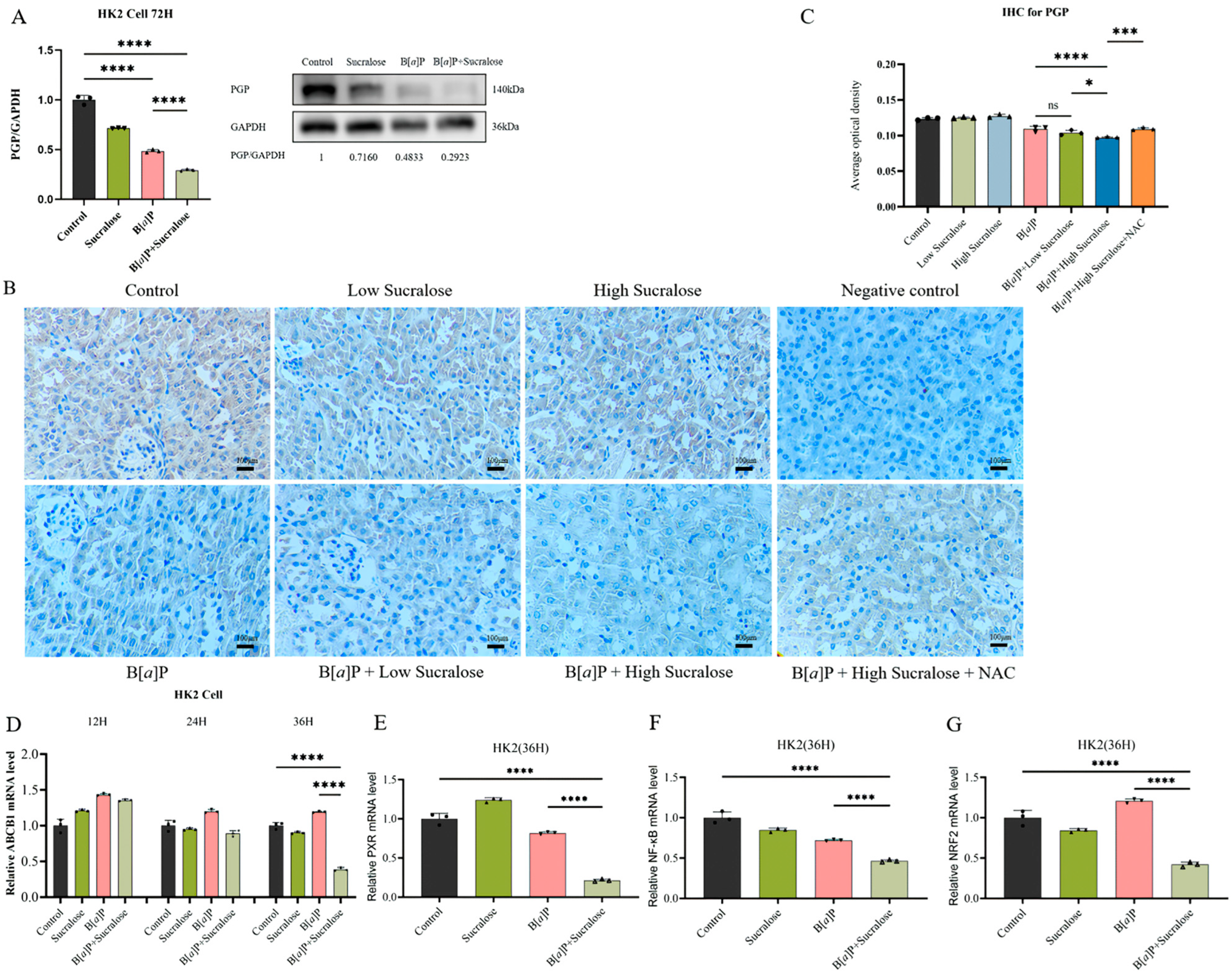 Antioxidants 14 00474 g006