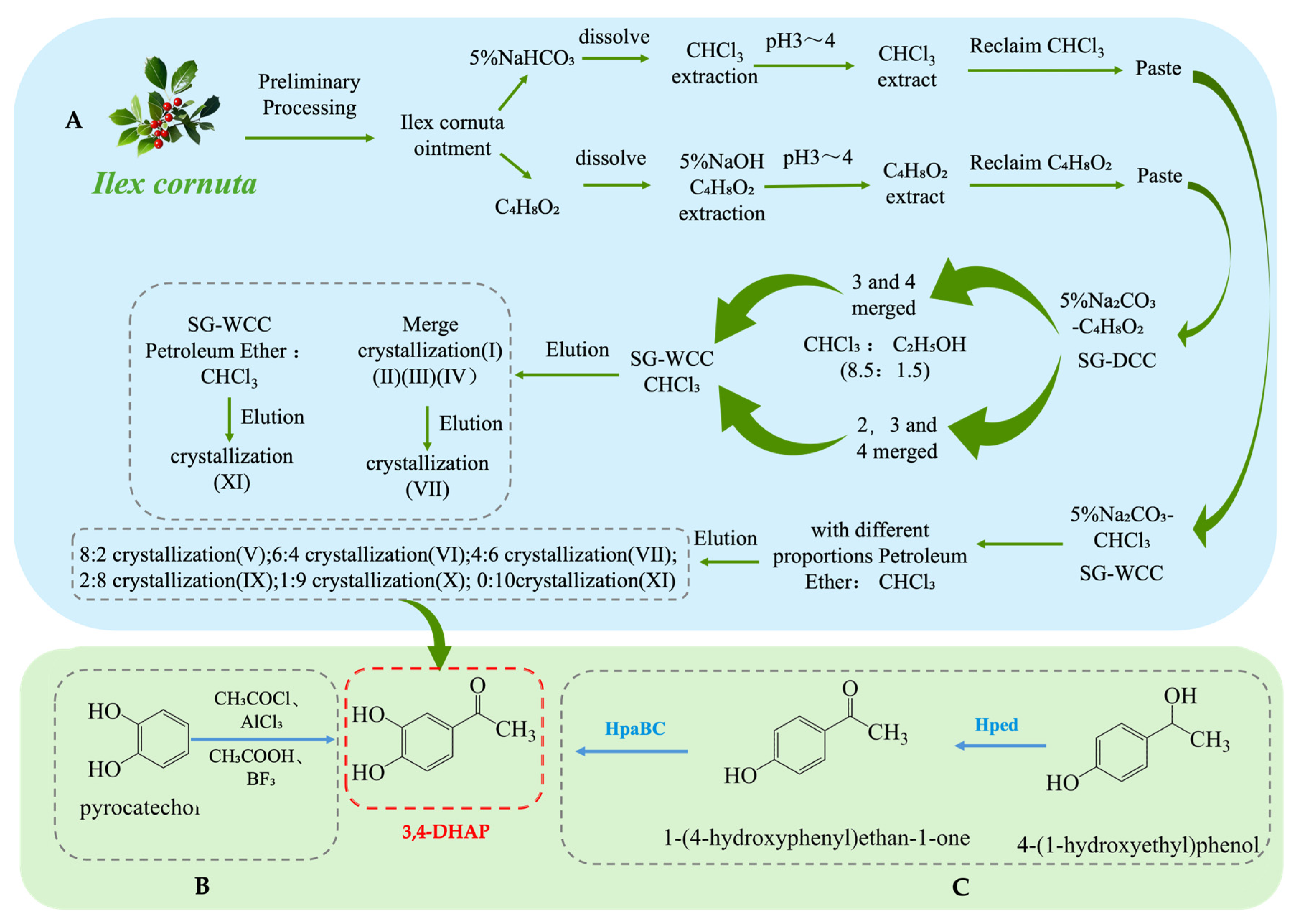 Antioxidants 14 00476 g004
