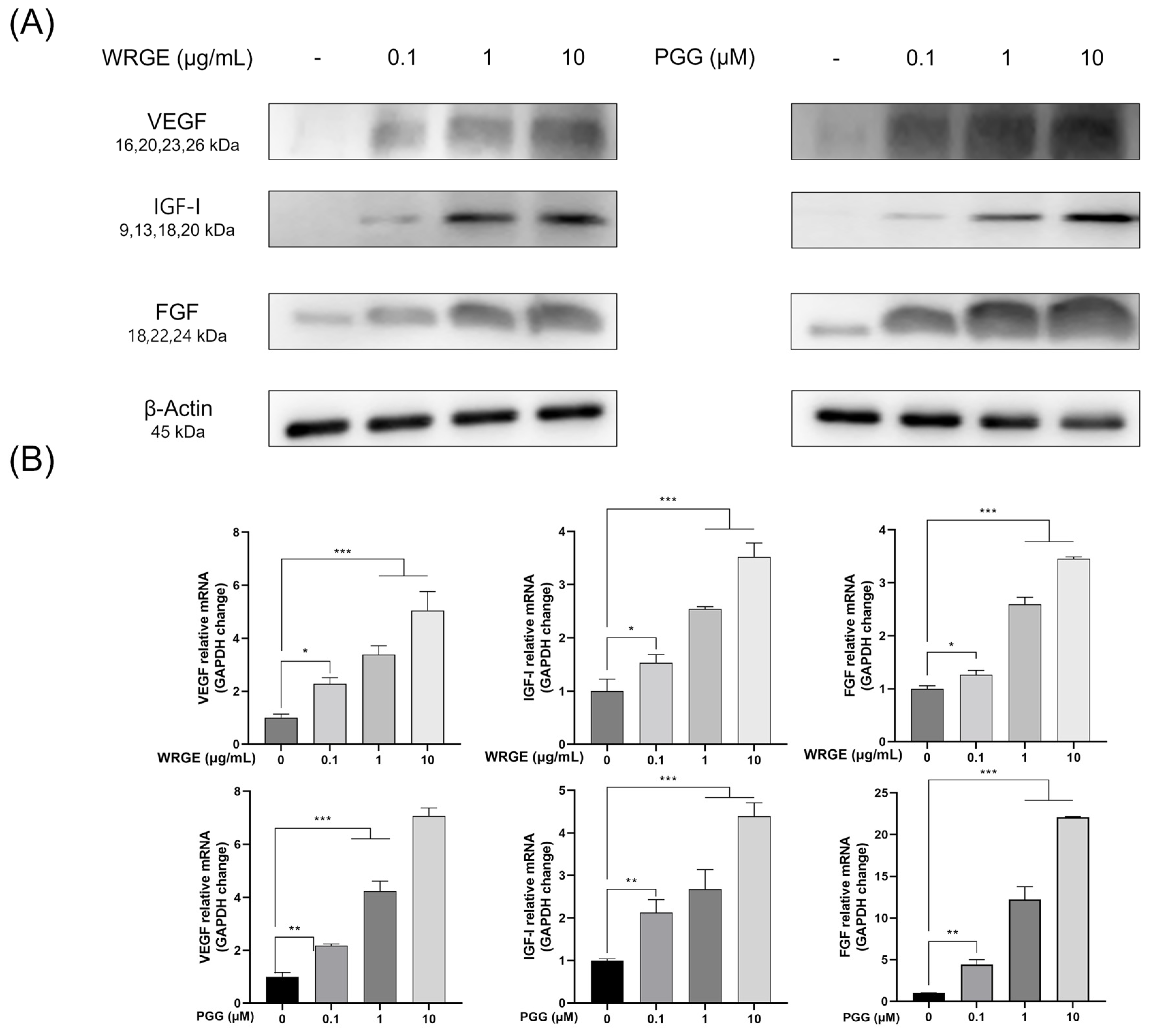 Antioxidants 14 00477 g004