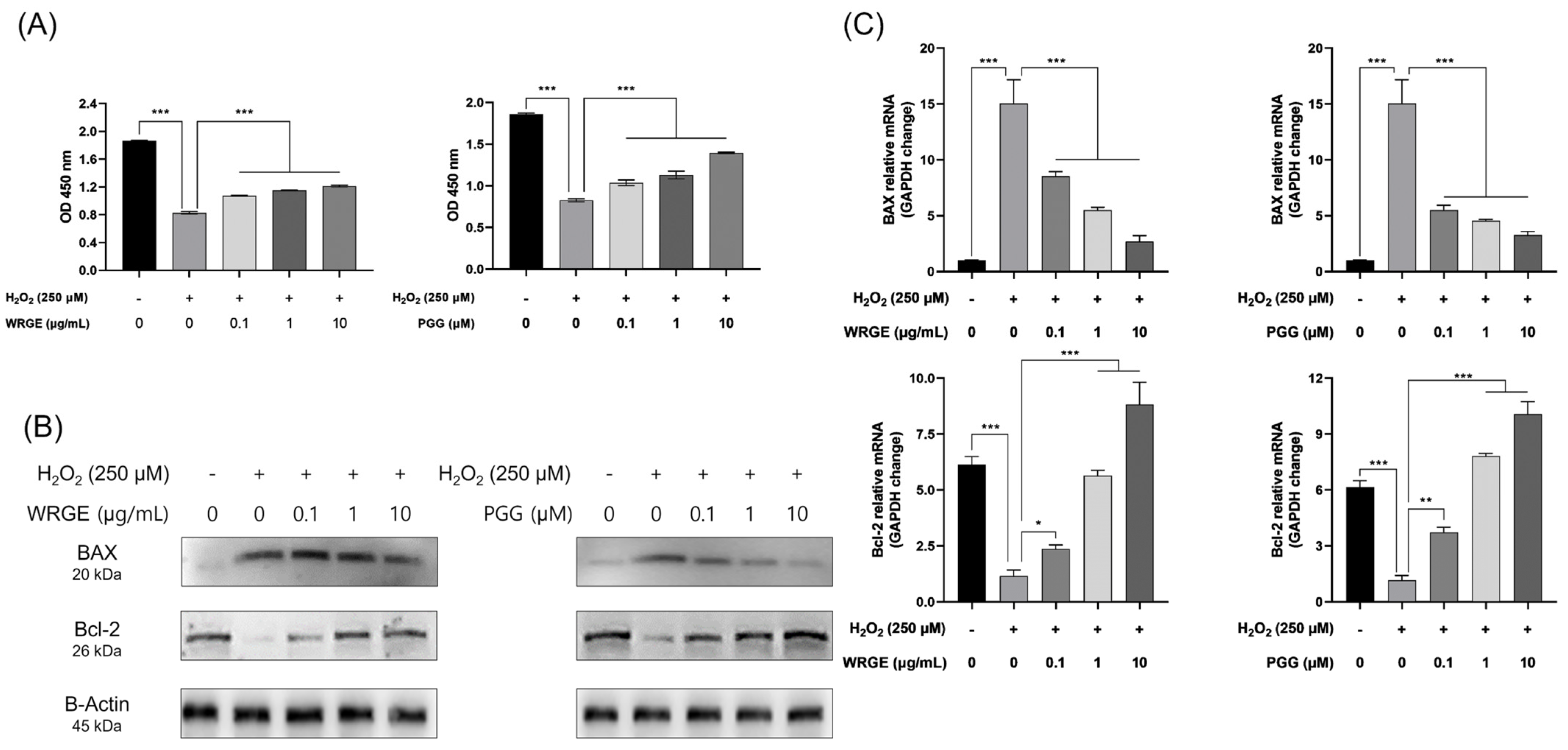 Antioxidants 14 00477 g009
