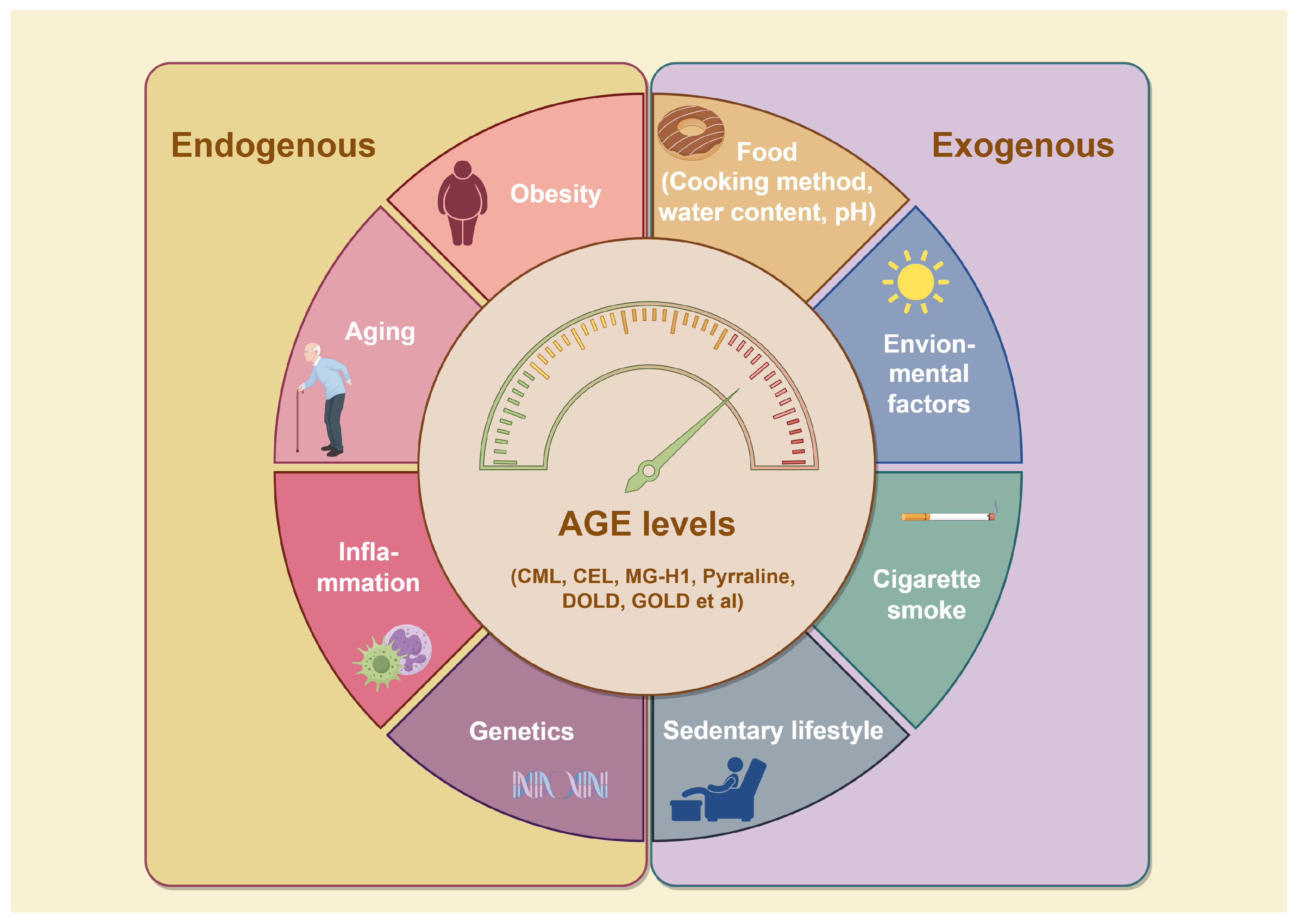 Antioxidants 14 00492 g002 Antioxidants 14 00492 g002