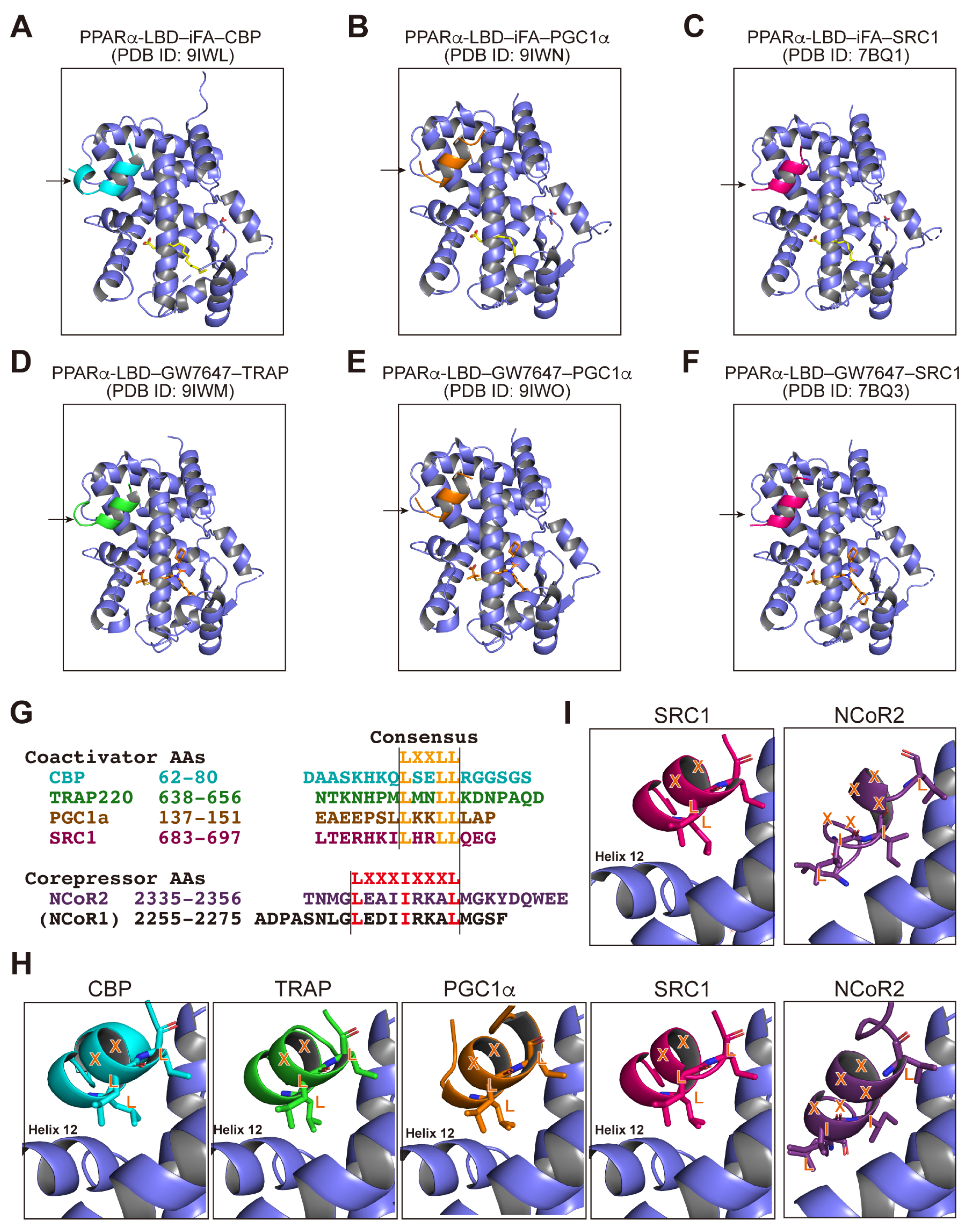 Antioxidants 14 00494 g007