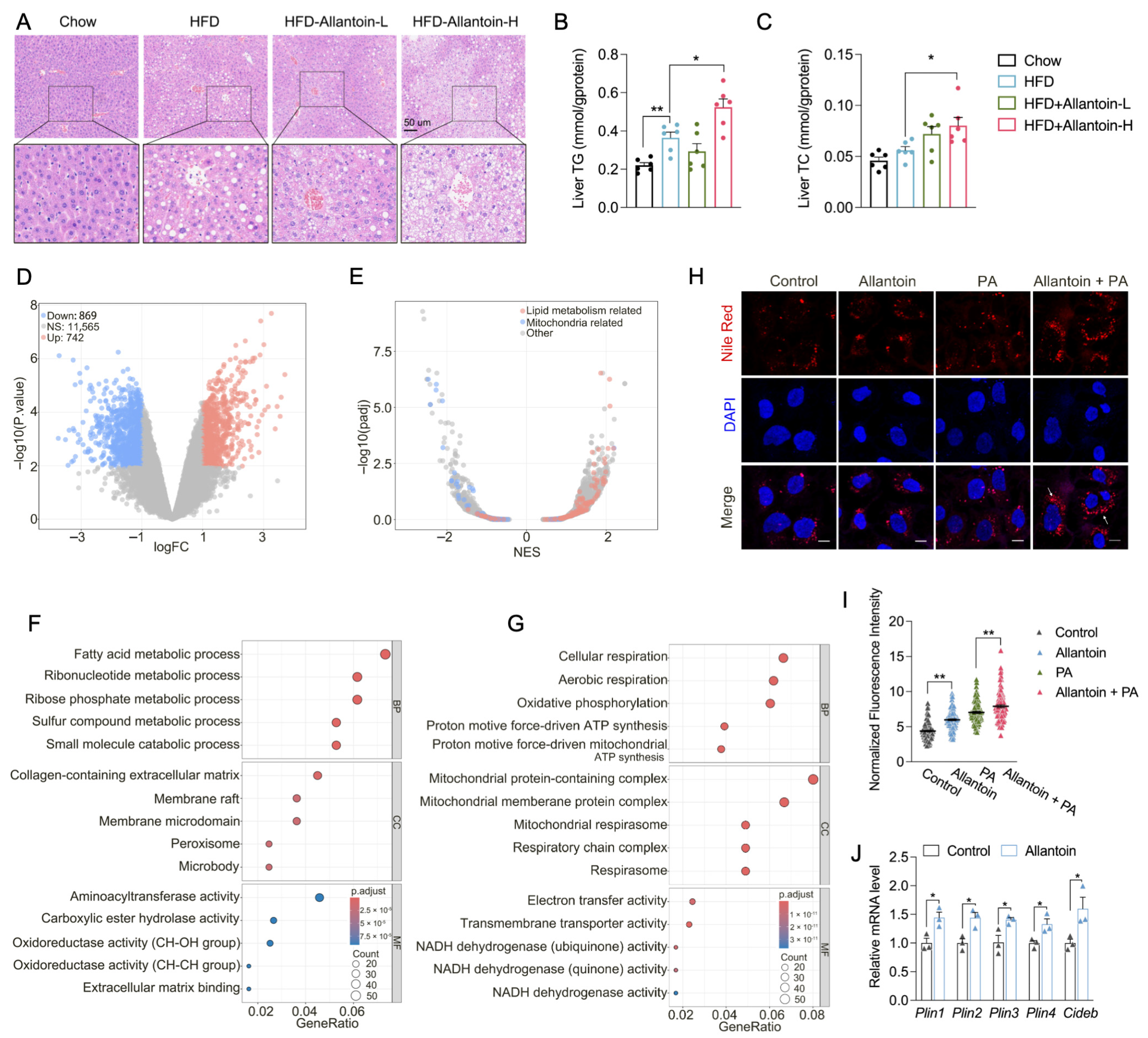 Antioxidants 14 00500 g004