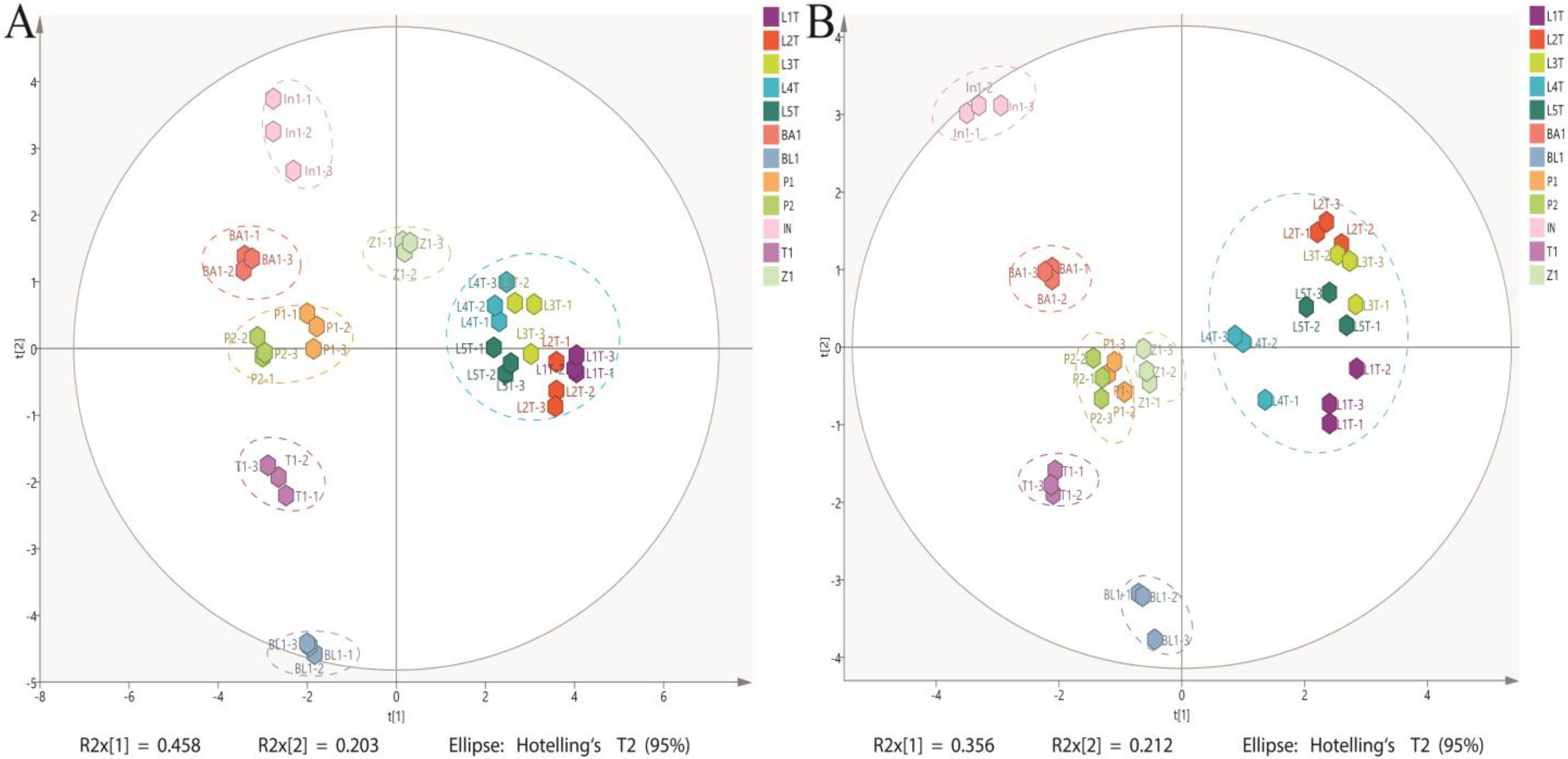 Antioxidants 14 00502 g001