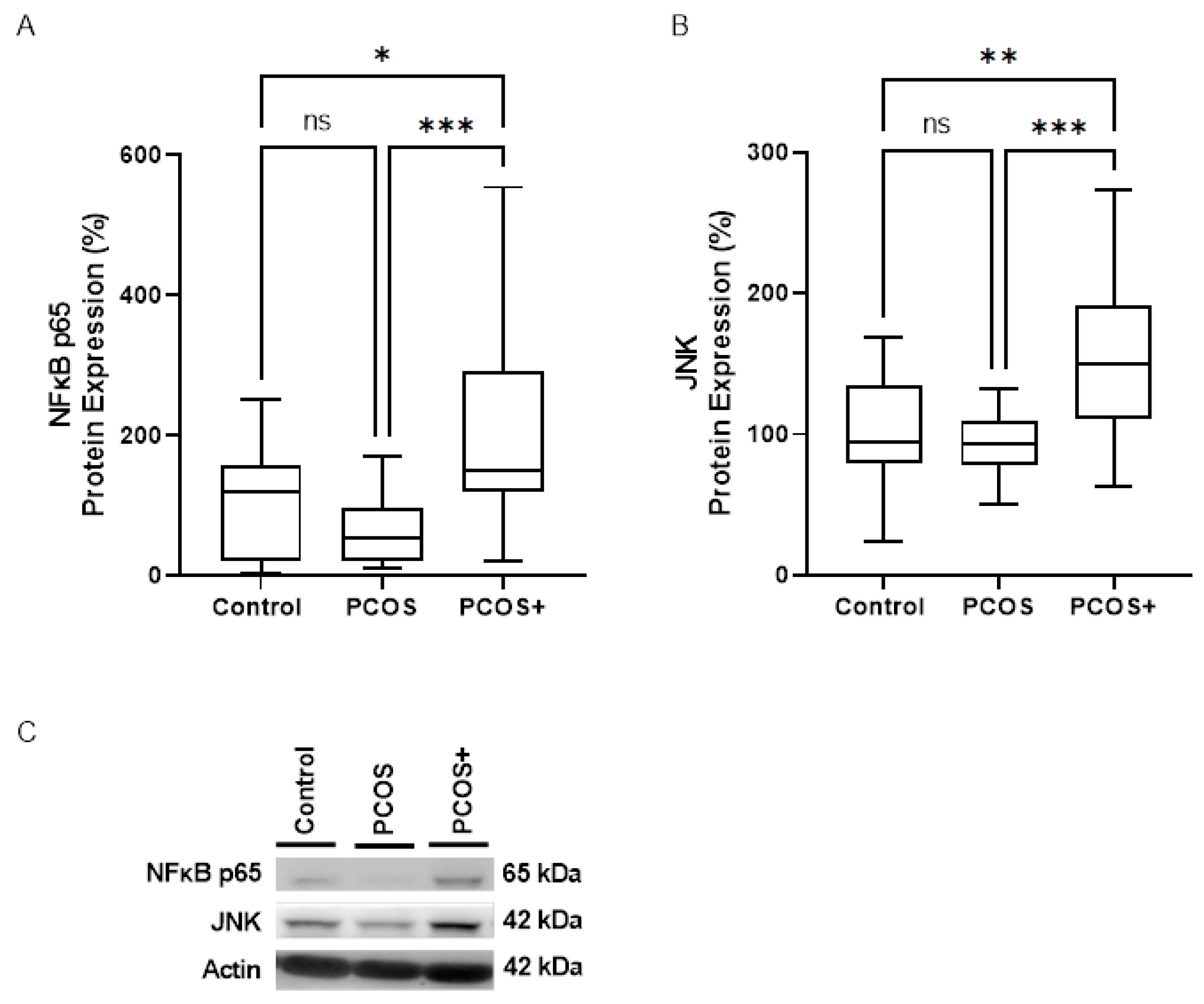 Antioxidants 14 00507 g001
