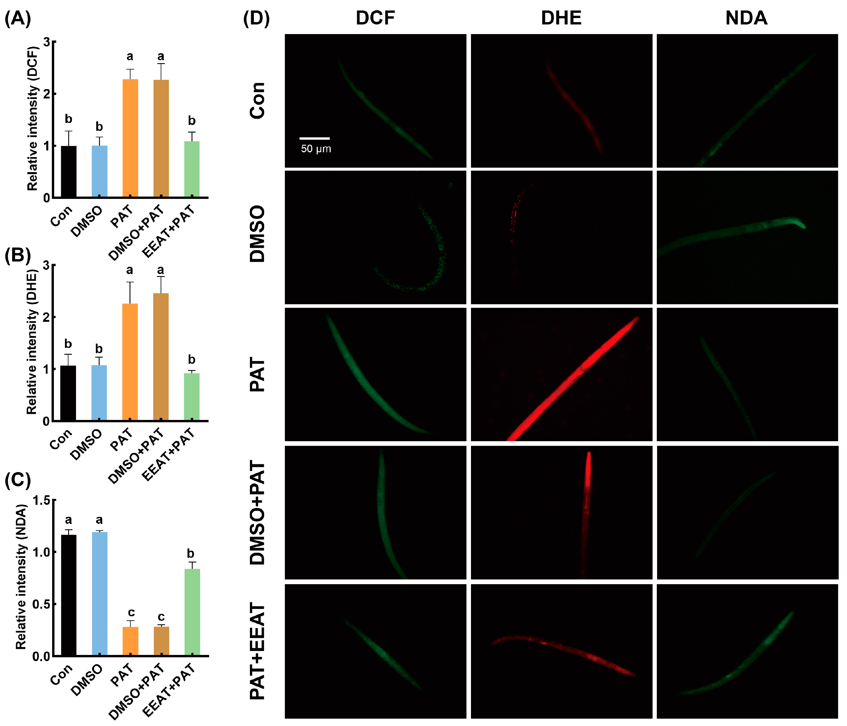 Antioxidants 14 00509 g002