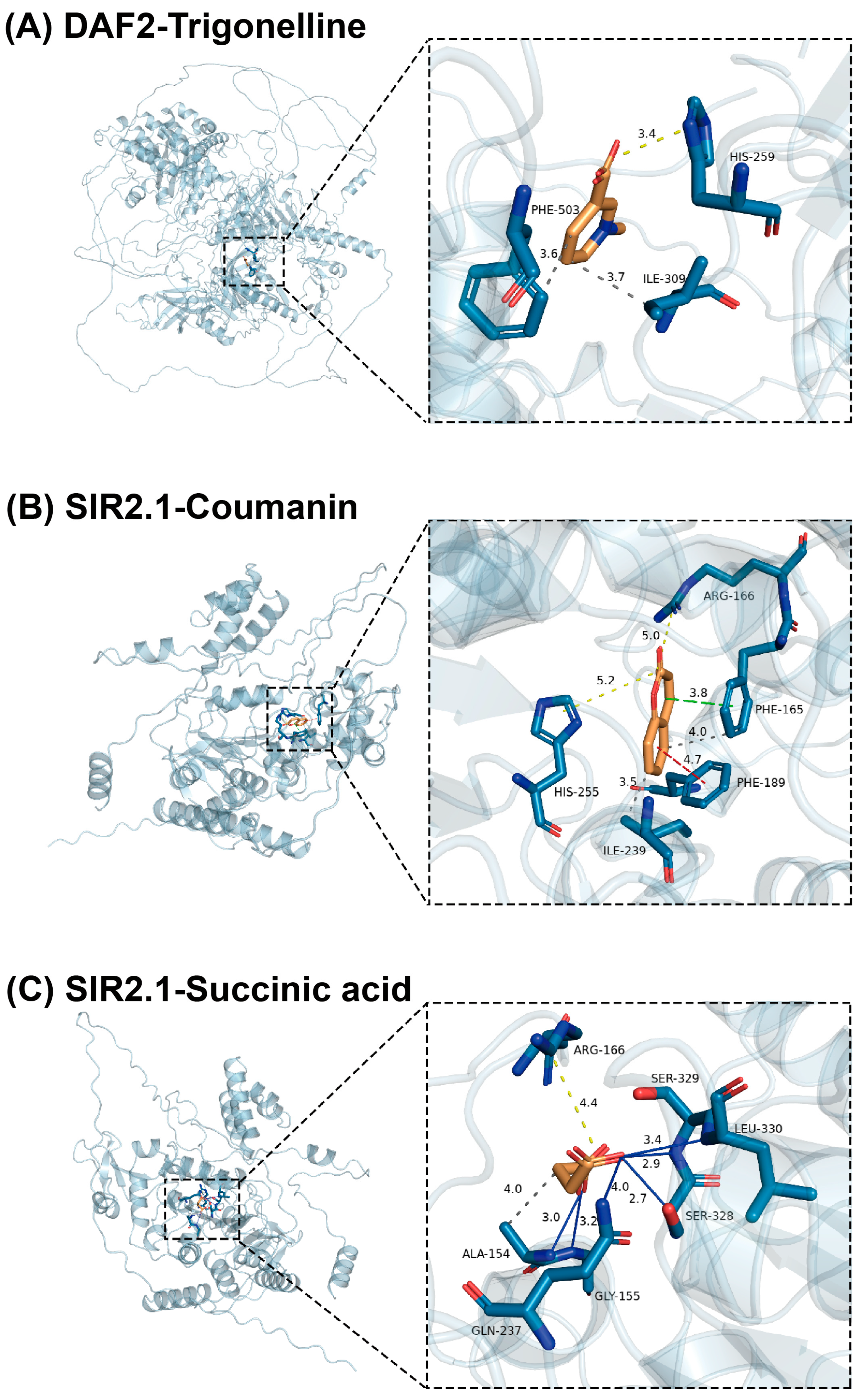 Antioxidants 14 00509 g004