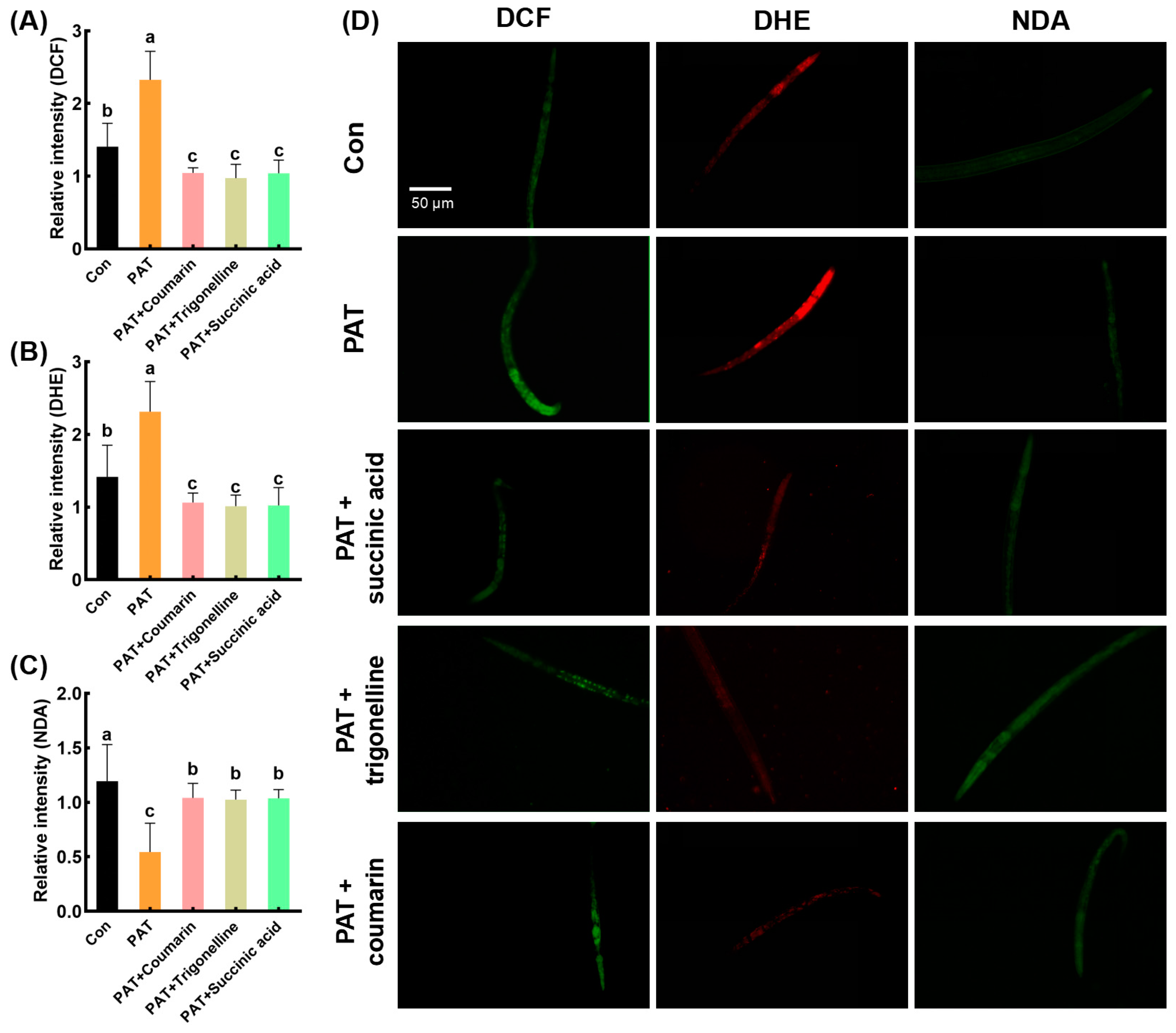 Antioxidants 14 00509 g006