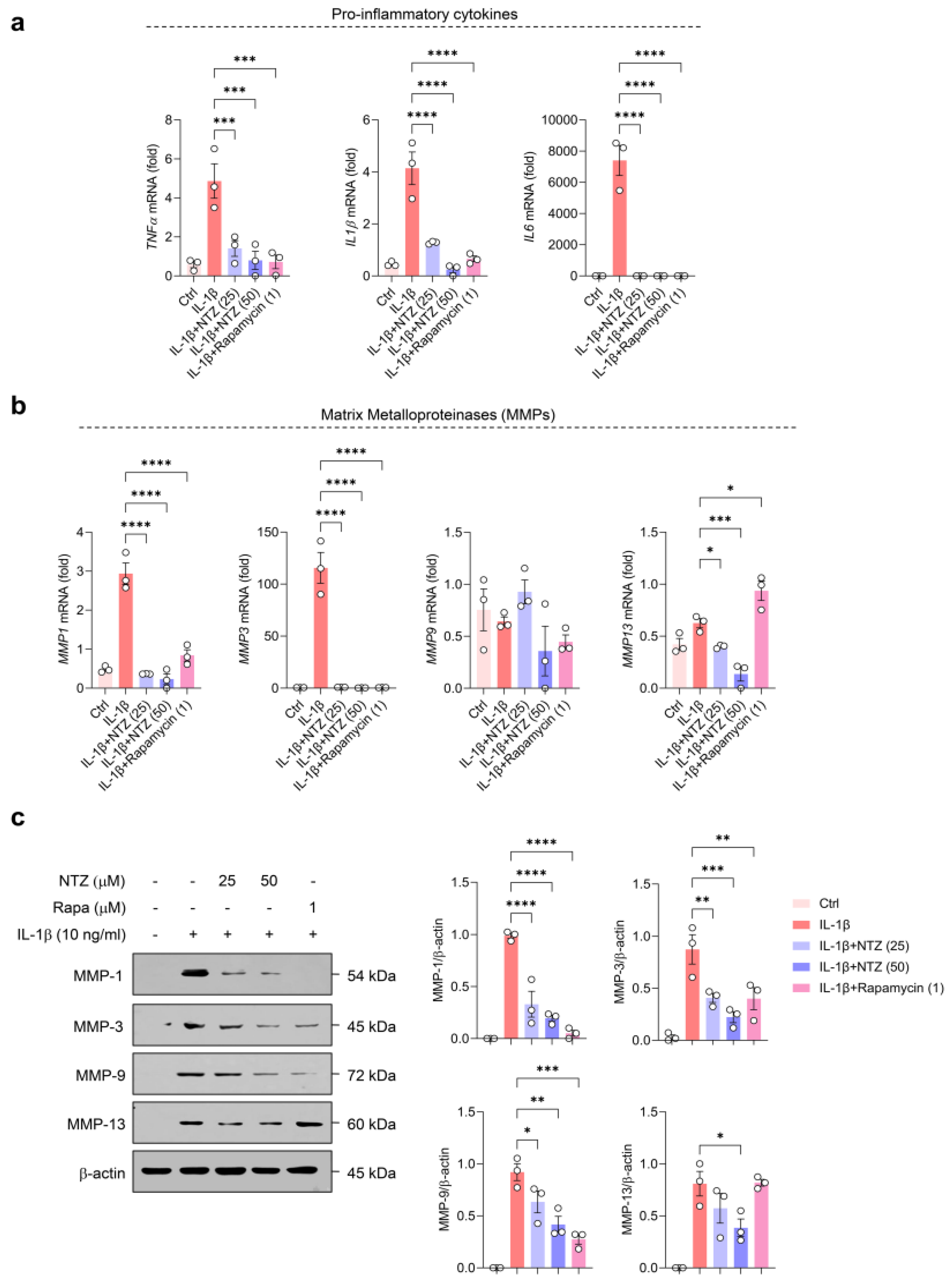 Antioxidants 14 00512 g001