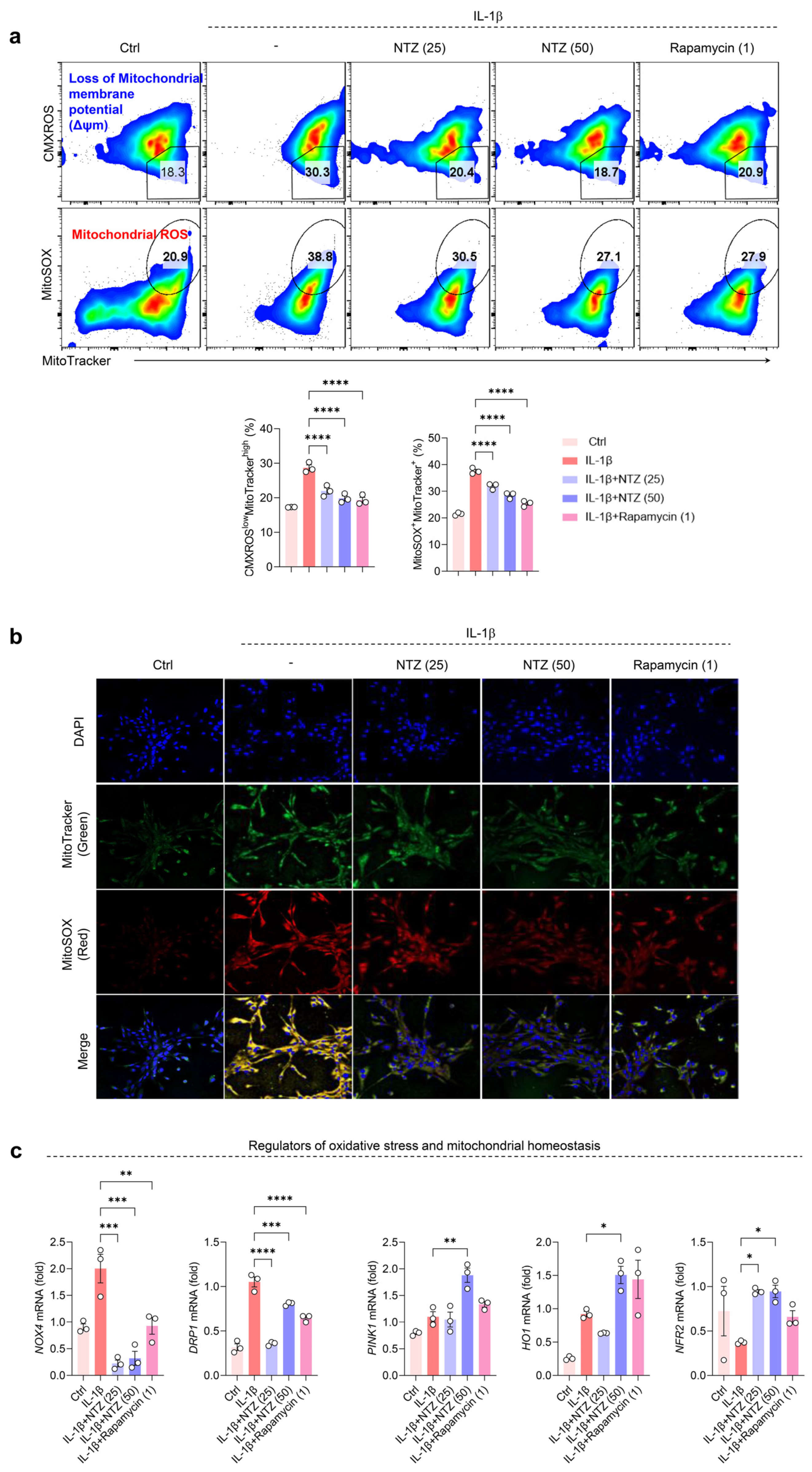 Antioxidants 14 00512 g003