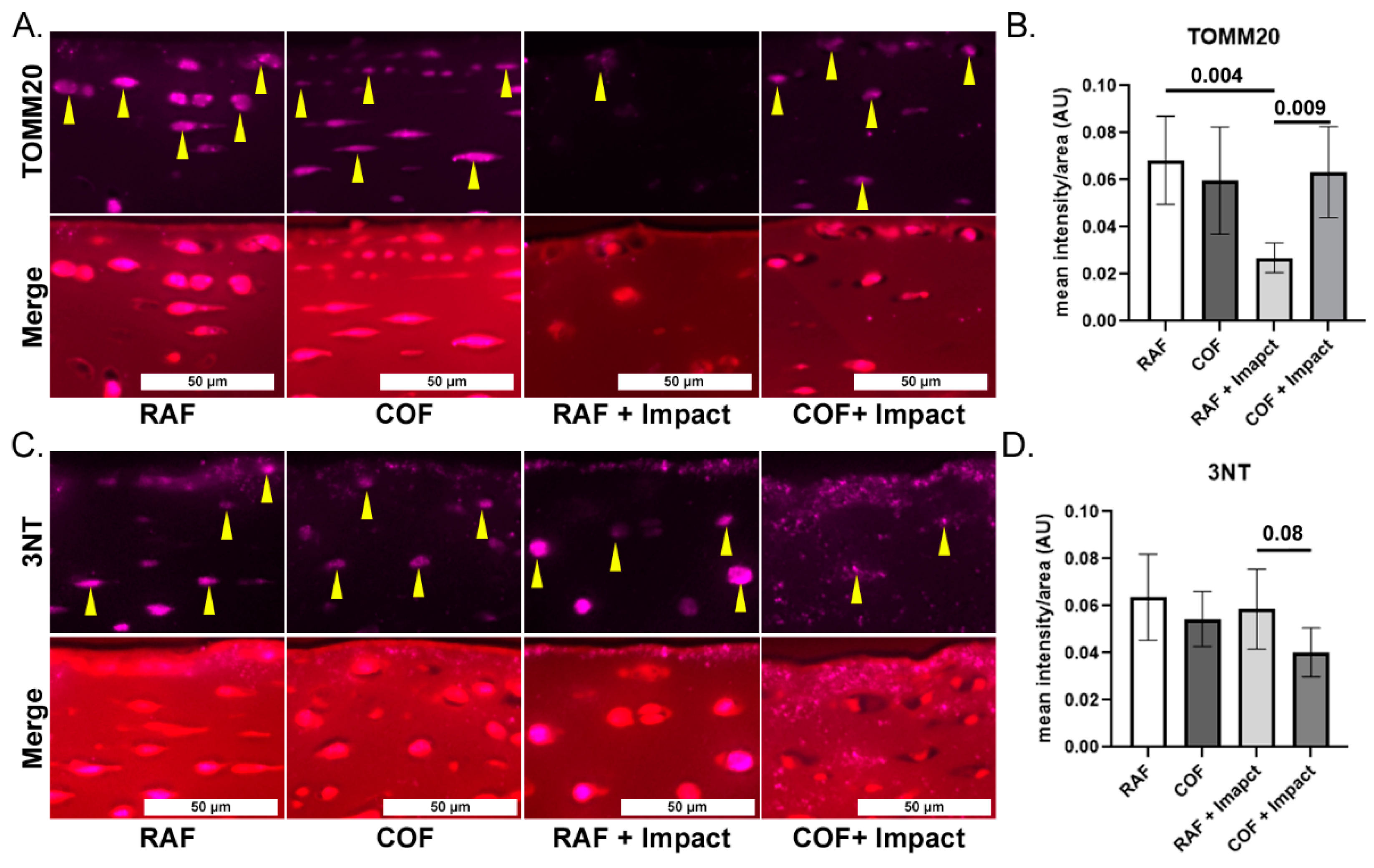 Antioxidants 14 00514 g003